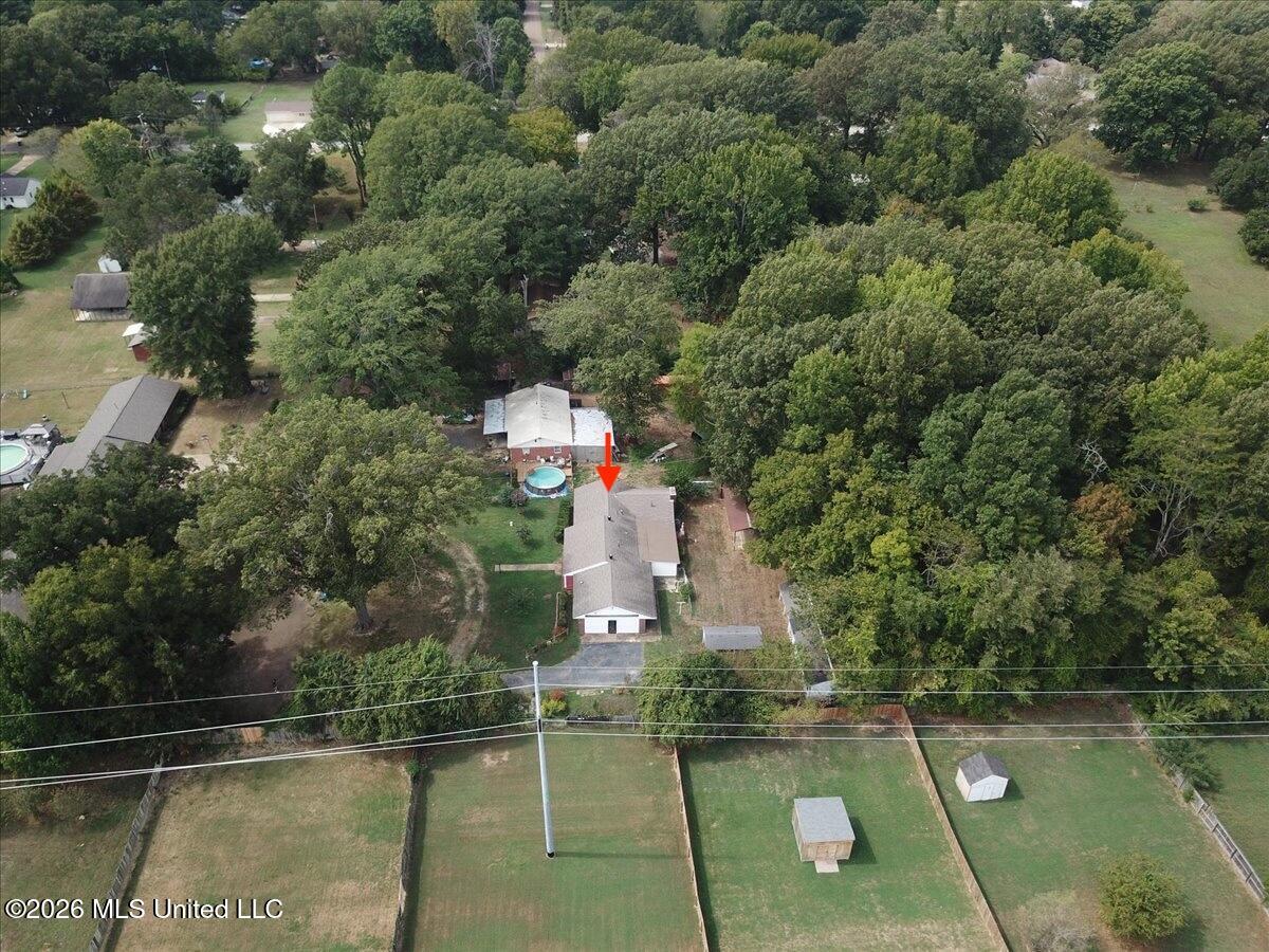 4546 Dogwood Meadows Cove Property Photo 45