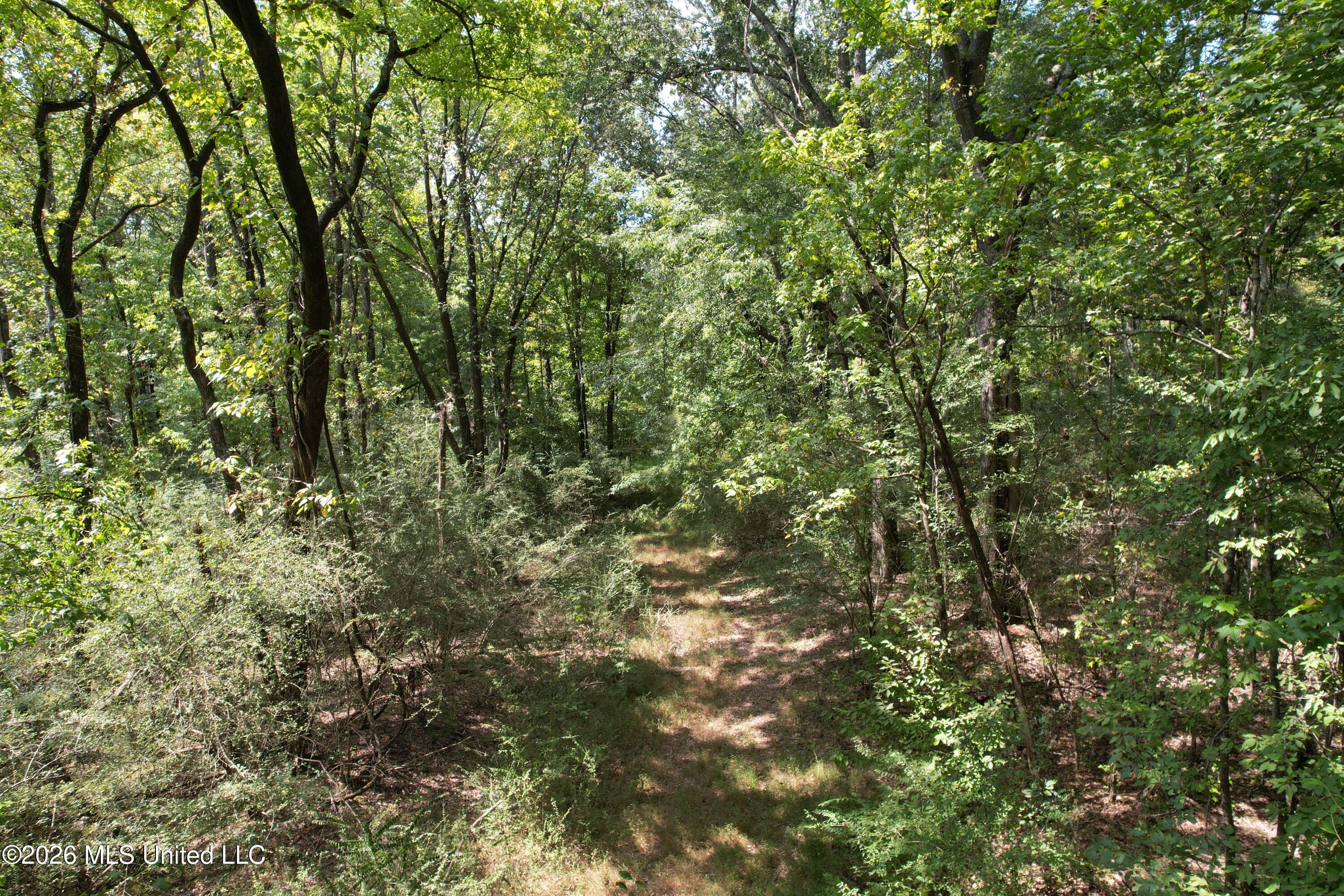China Grove Road Property Photo 5