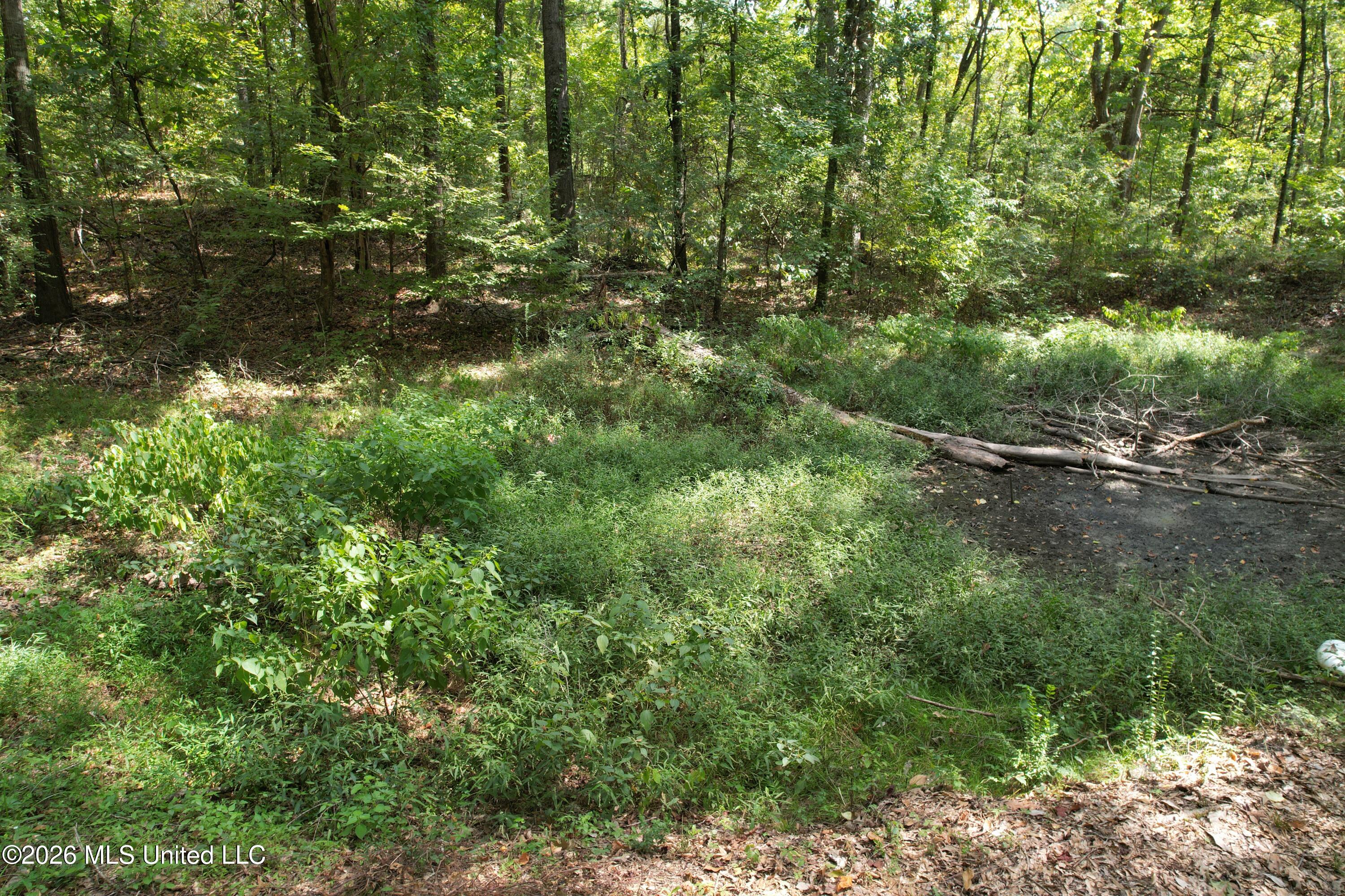 China Grove Road Property Photo 9