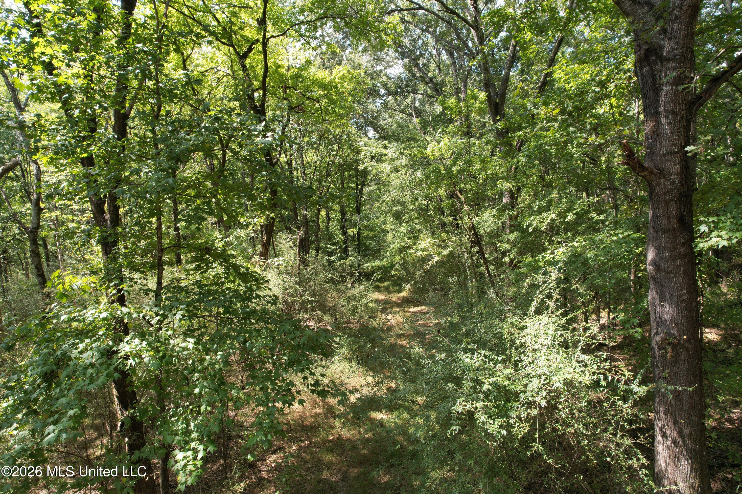 China Grove Road Property Photo 16
