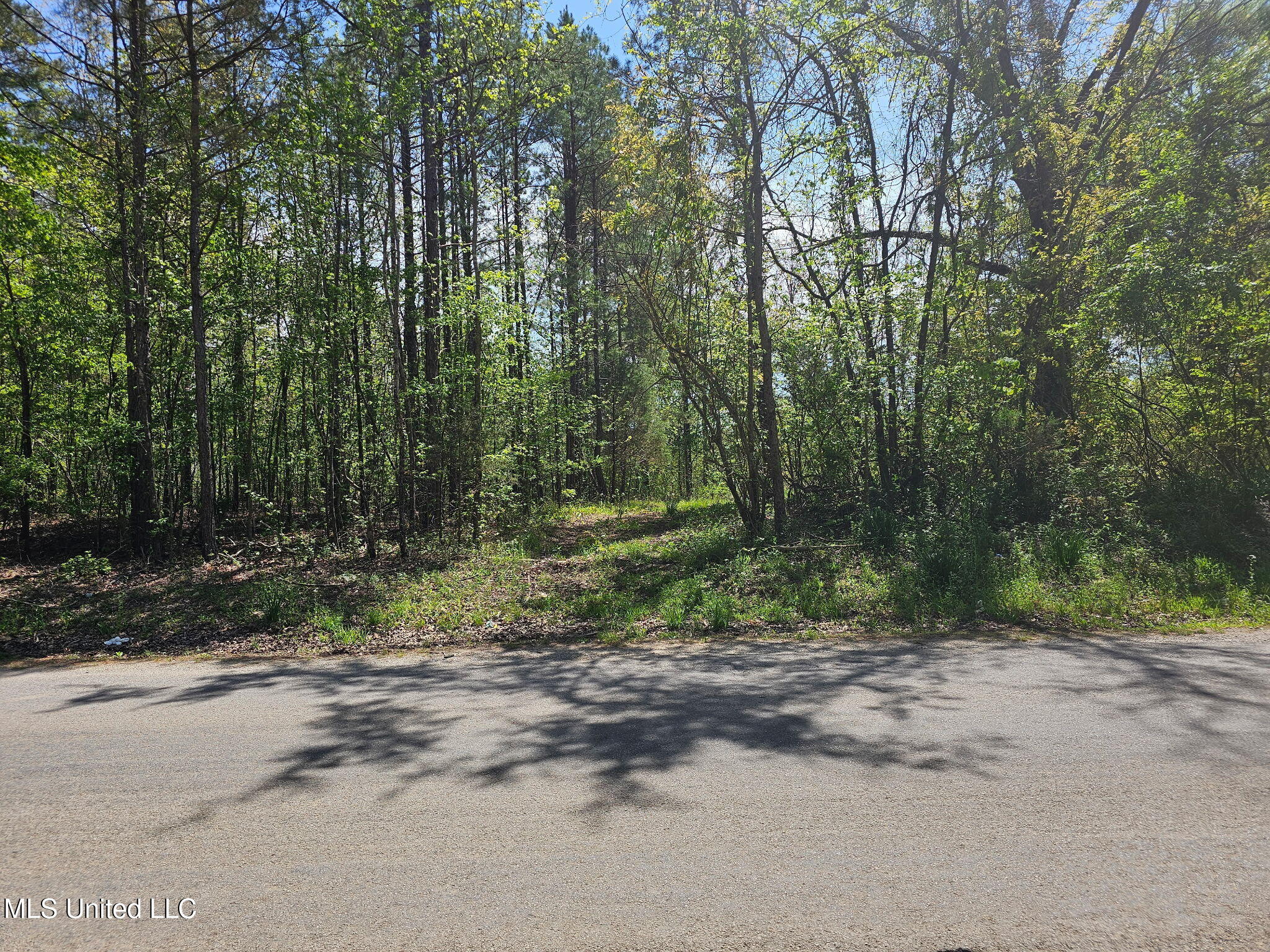 600 Co Rd 431 Property Photo 1