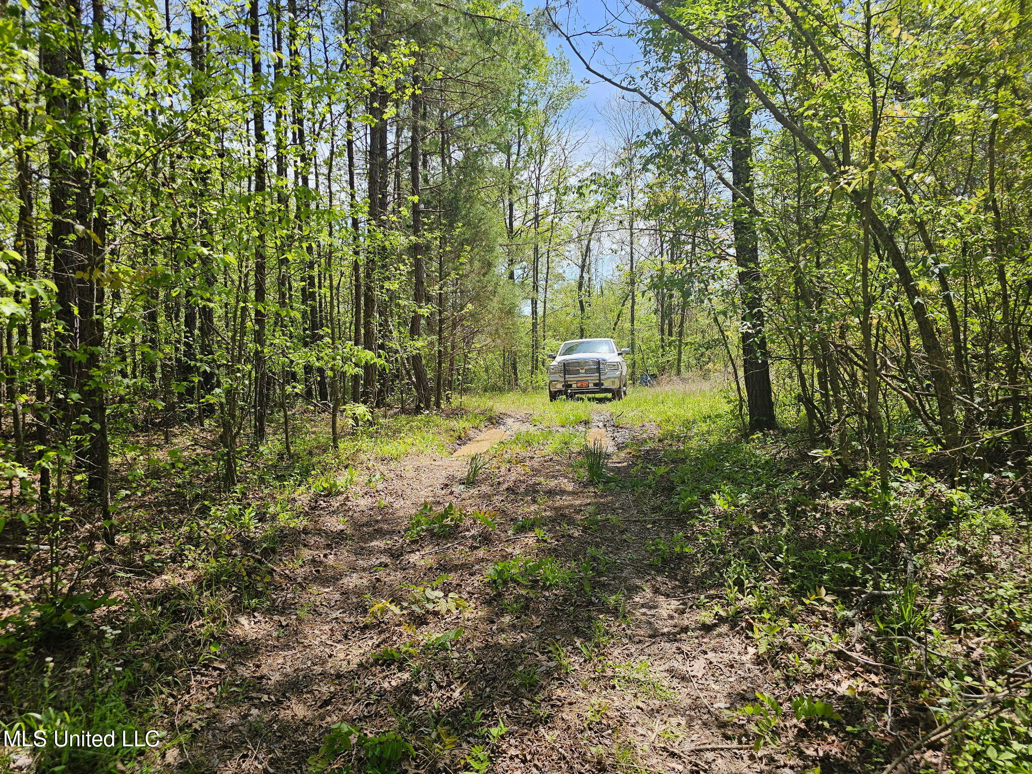600 Co Rd 431 Property Photo 2