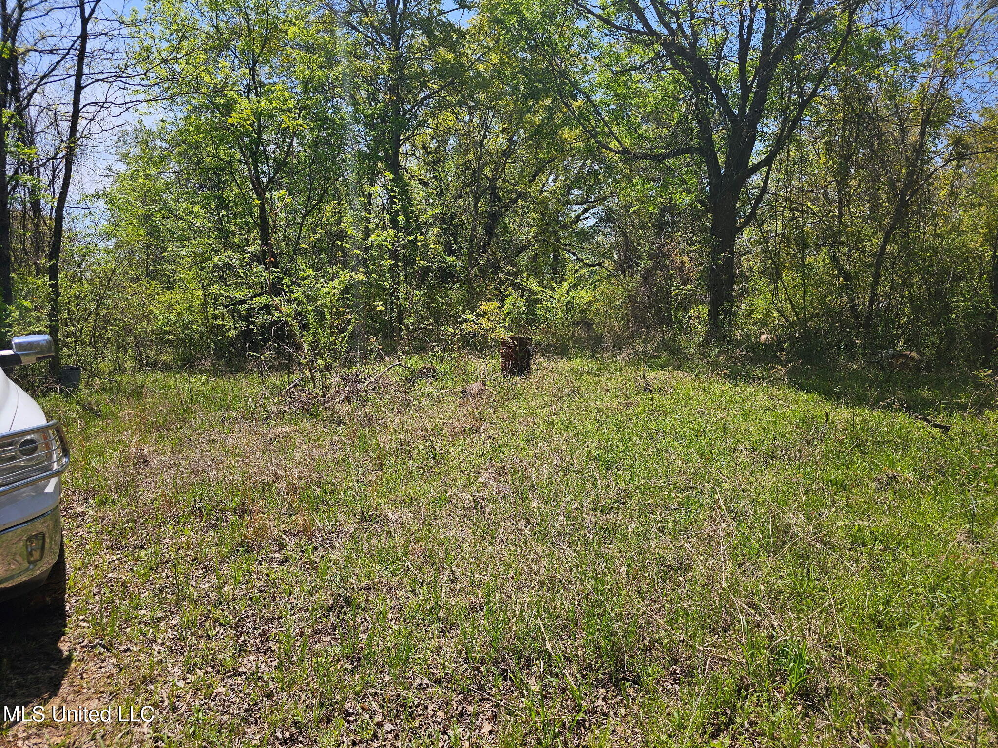 600 Co Rd 431 Property Photo 3
