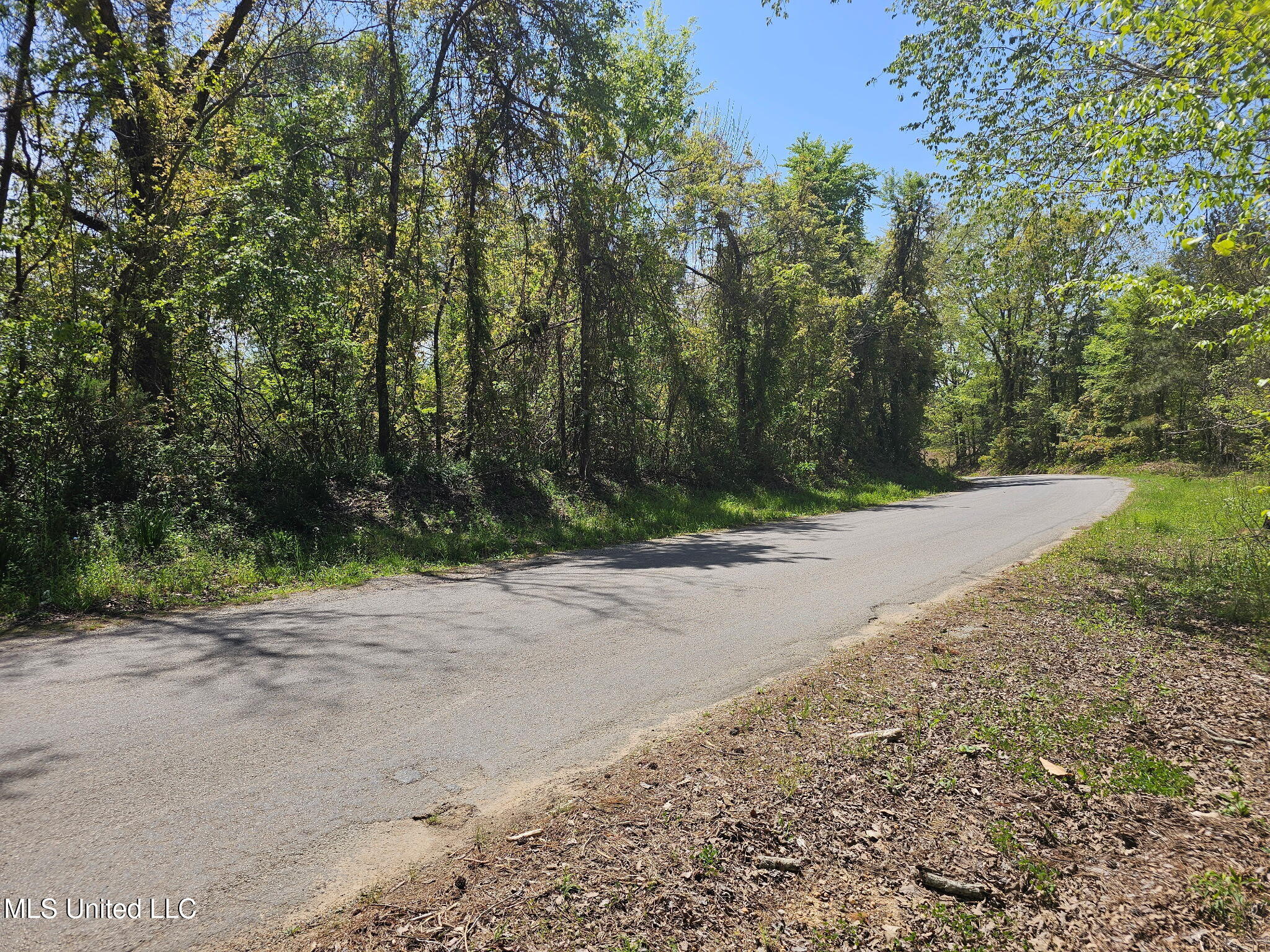 600 Co Rd 431 Property Photo 6