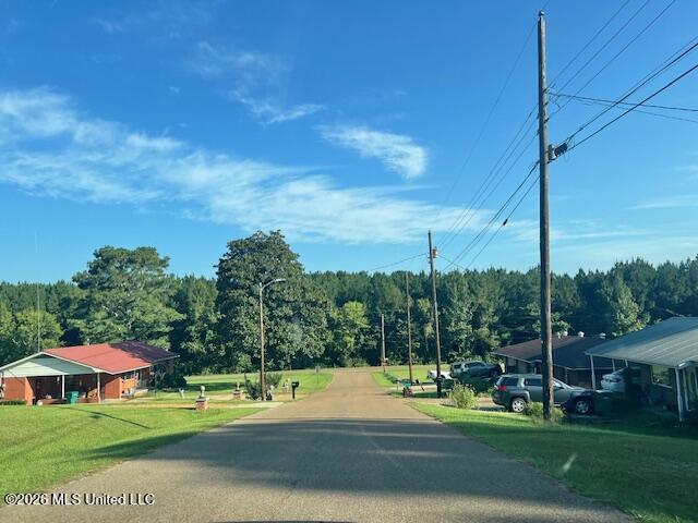 308 Lewis Street Property Photo 7