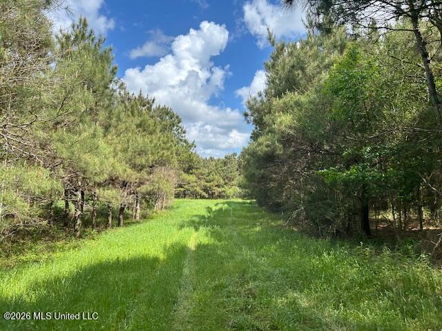 Mississippi 583 Property Photo 21