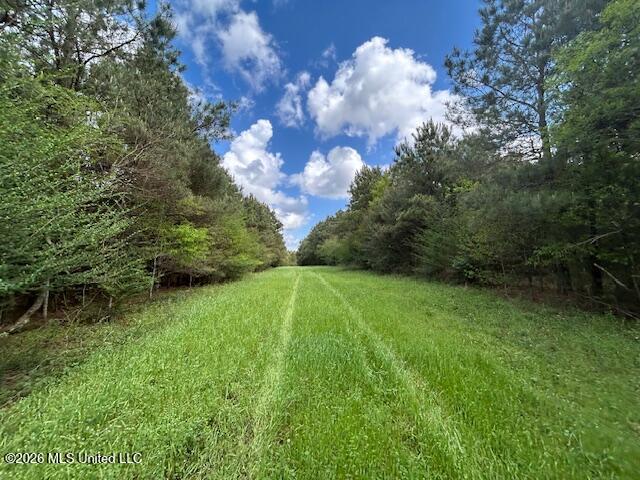 Mississippi 583 Property Photo 24