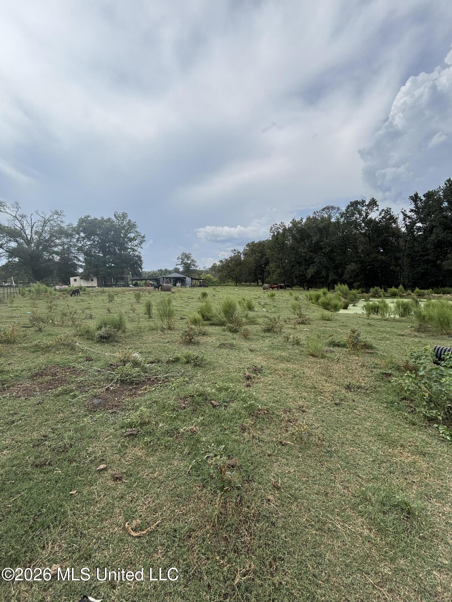 10887 Ms-18 Property Photo 55