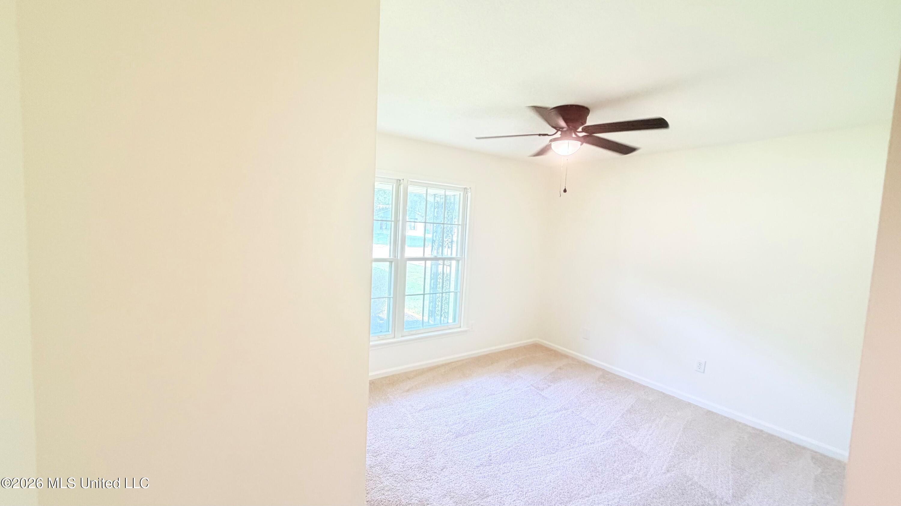 827 Dinwiddie Cove Property Photo 15