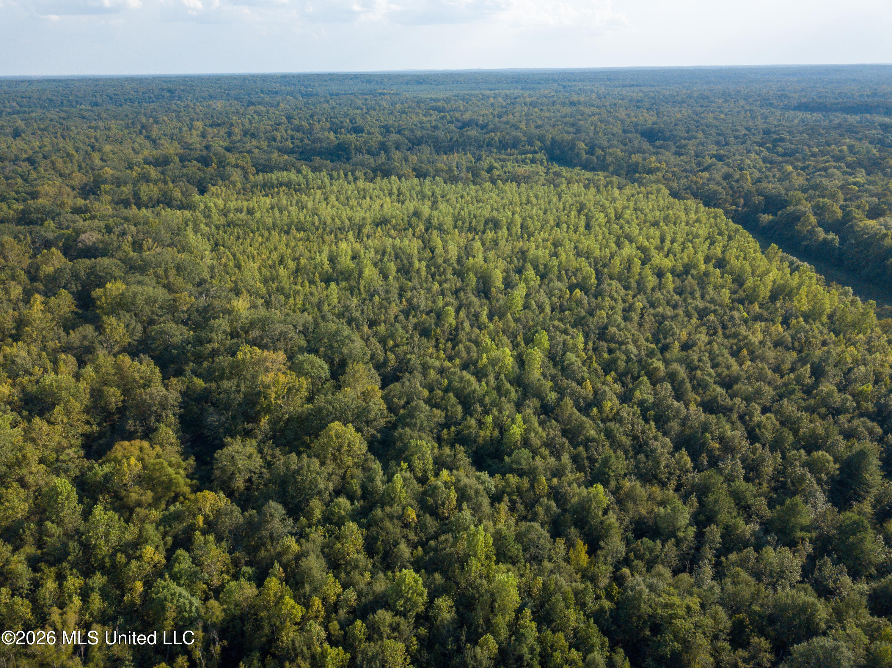 5163 Cox Ferry Road Property Photo 6