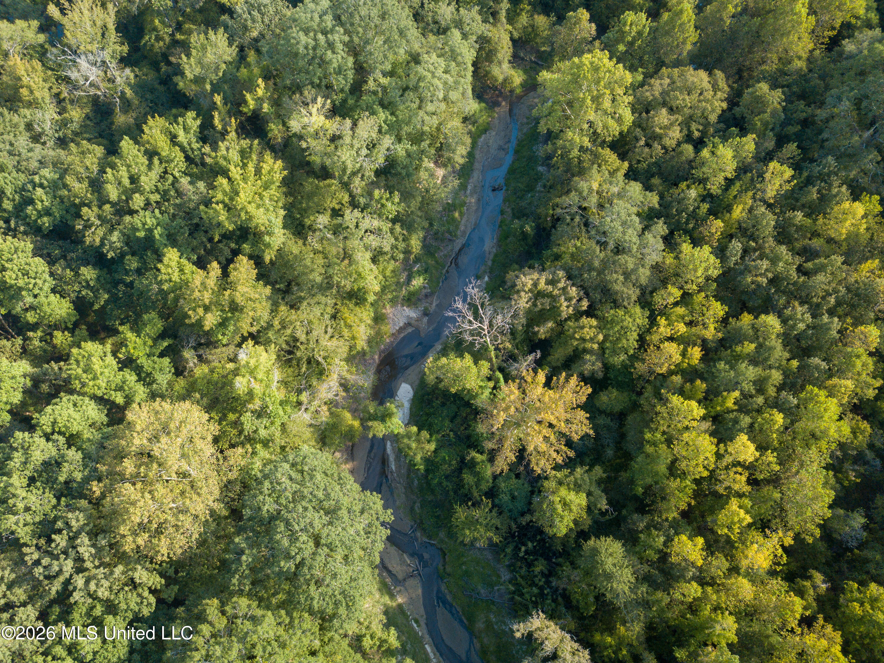 5163 Cox Ferry Road Property Photo 8