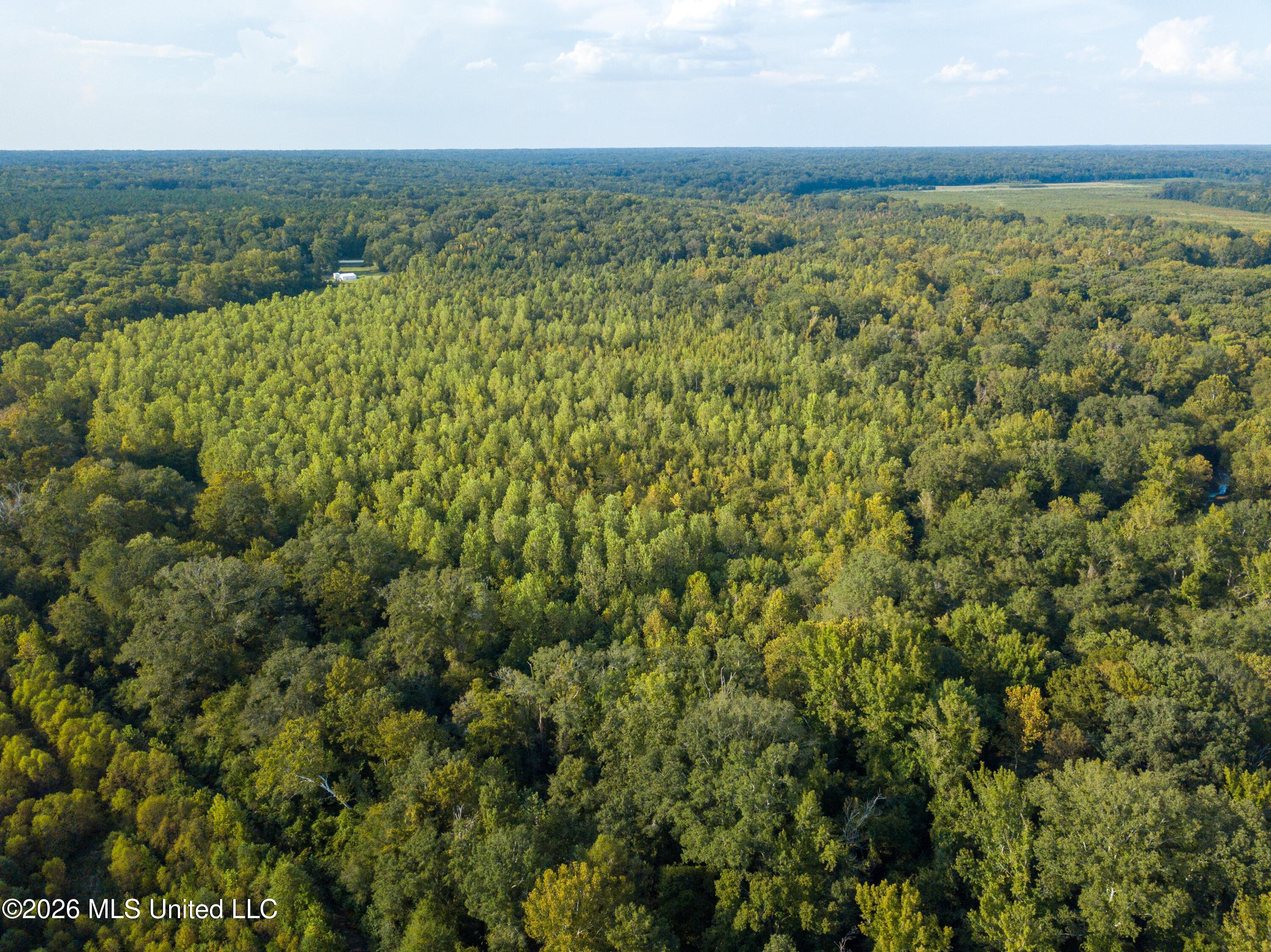 5163 Cox Ferry Road Property Photo 12