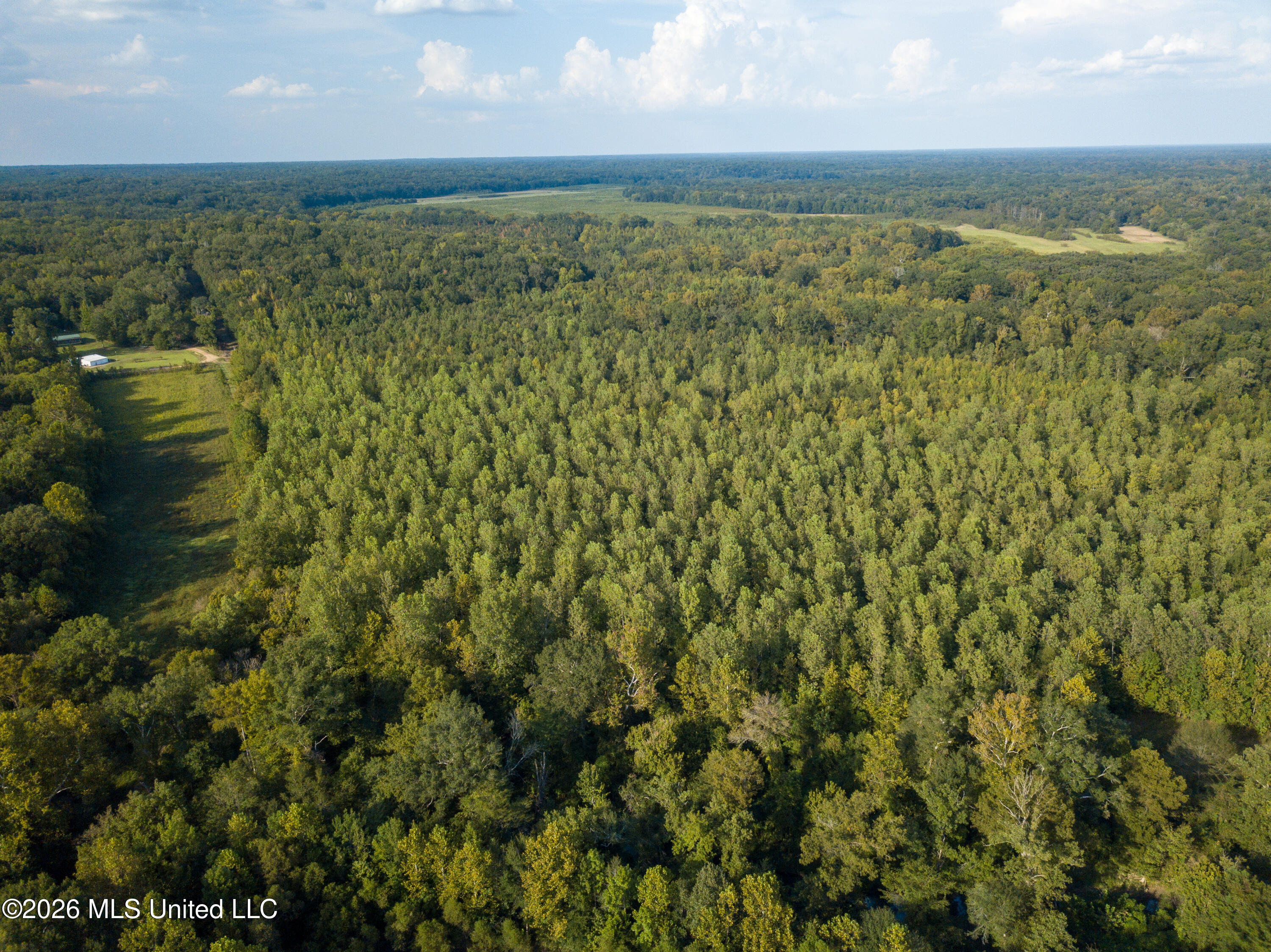 5163 Cox Ferry Road Property Photo 13