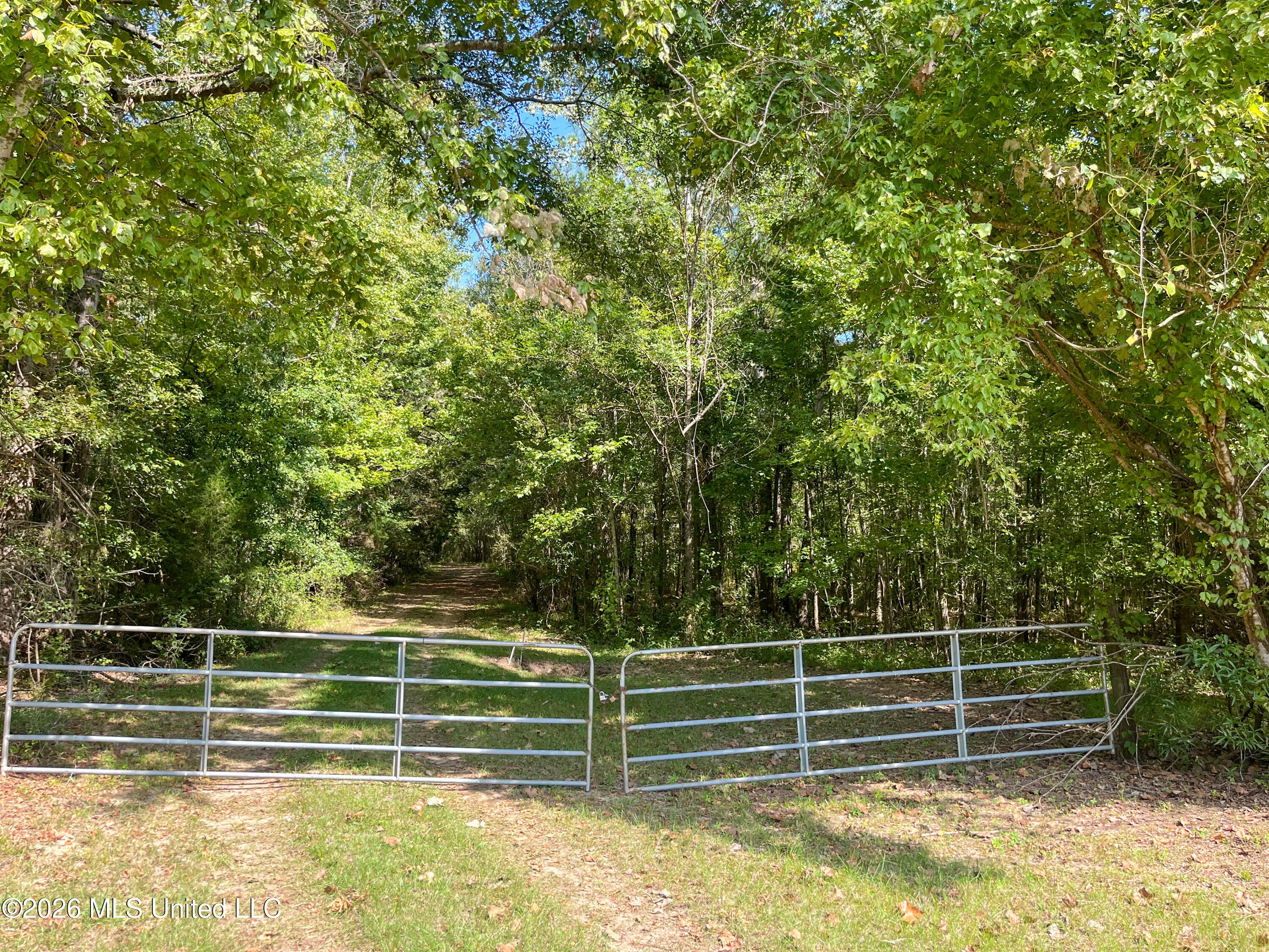 5163 Cox Ferry Road Property Photo 23