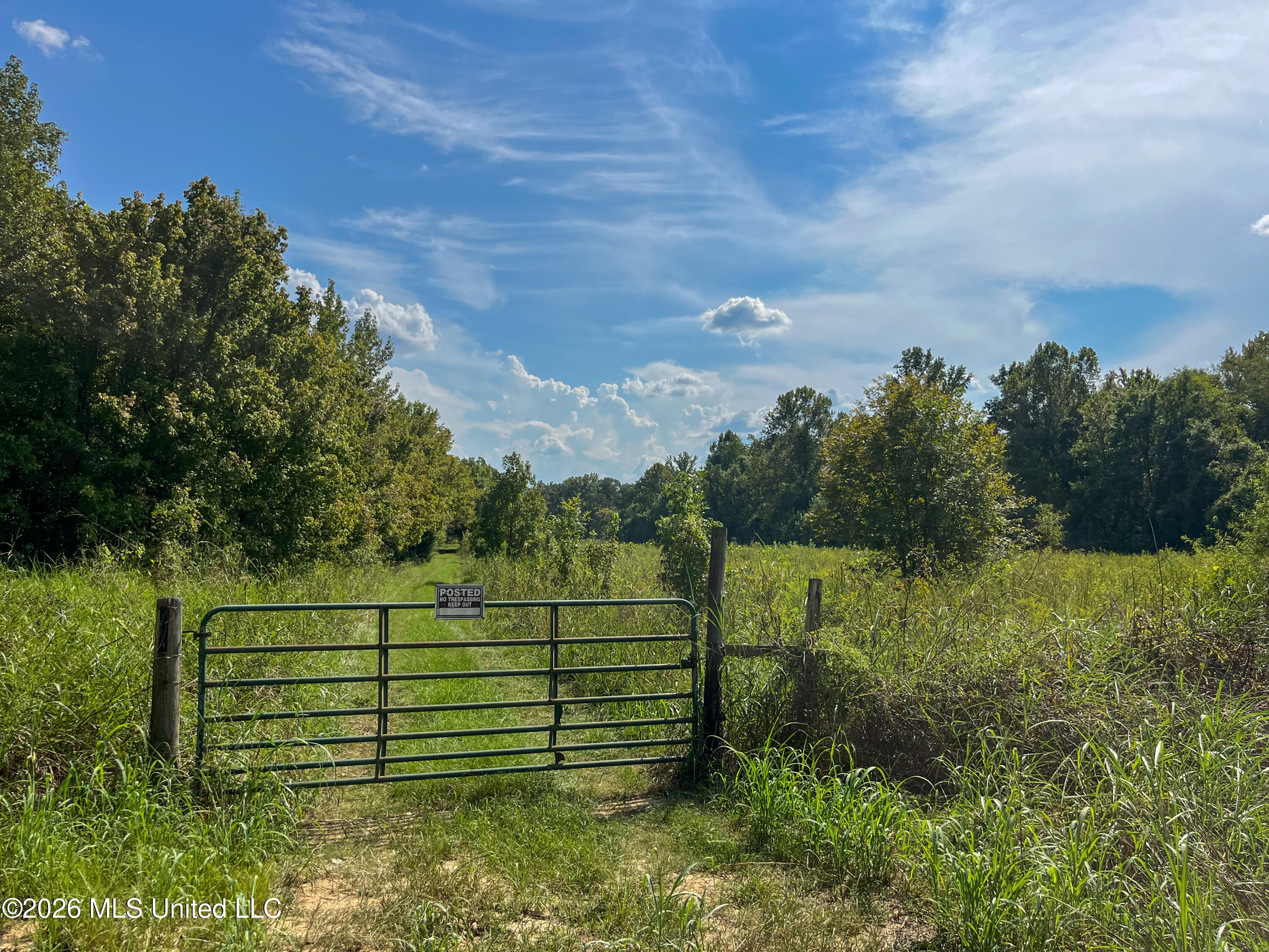 5163 Cox Ferry Road Property Photo 24