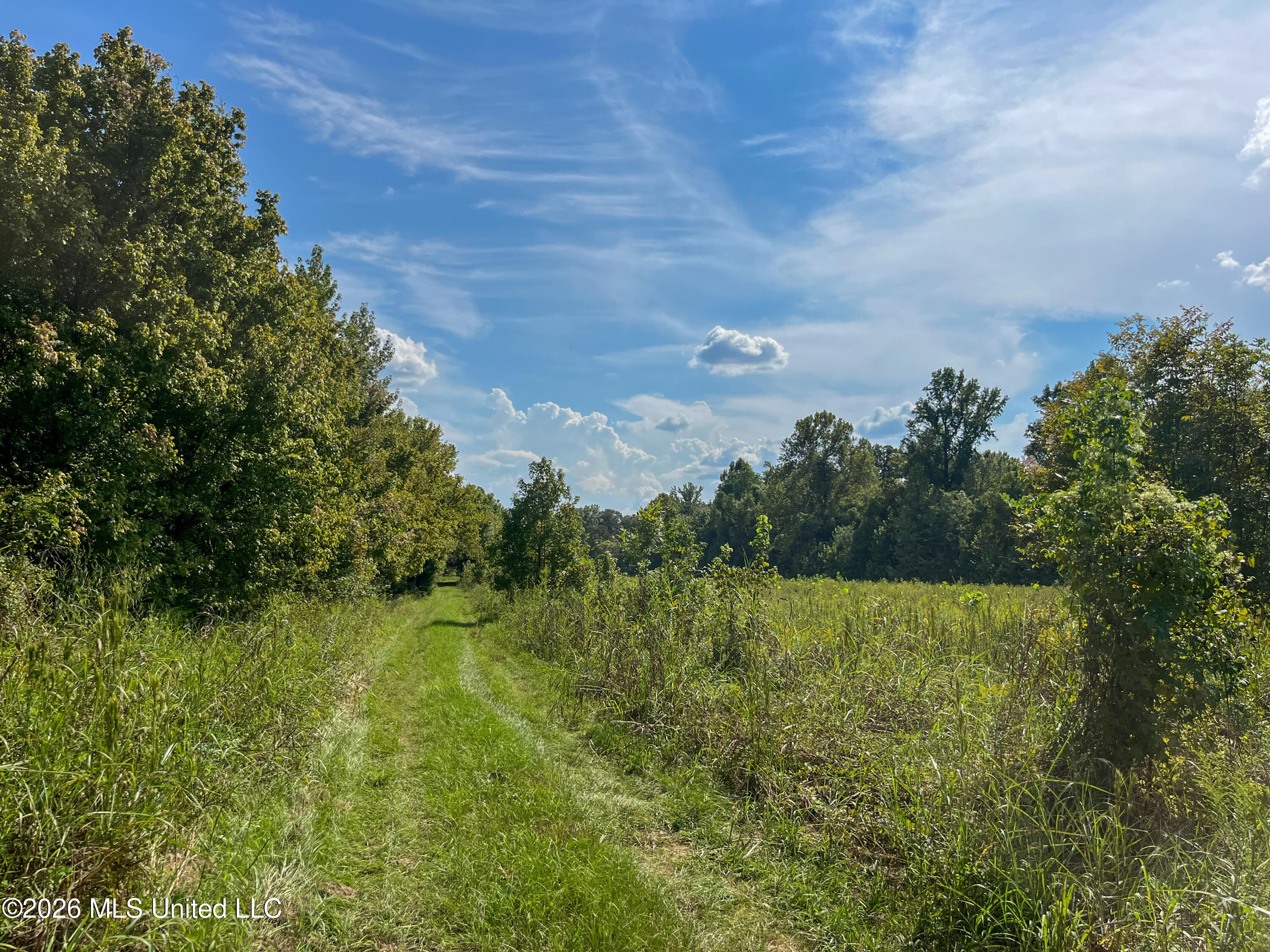 5163 Cox Ferry Road Property Photo 25