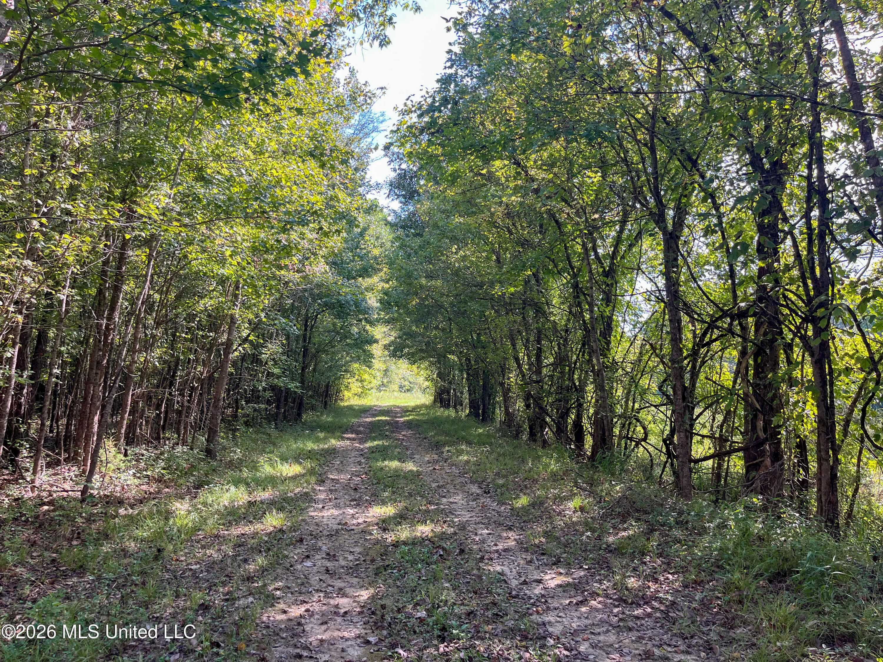 5163 Cox Ferry Road Property Photo 26