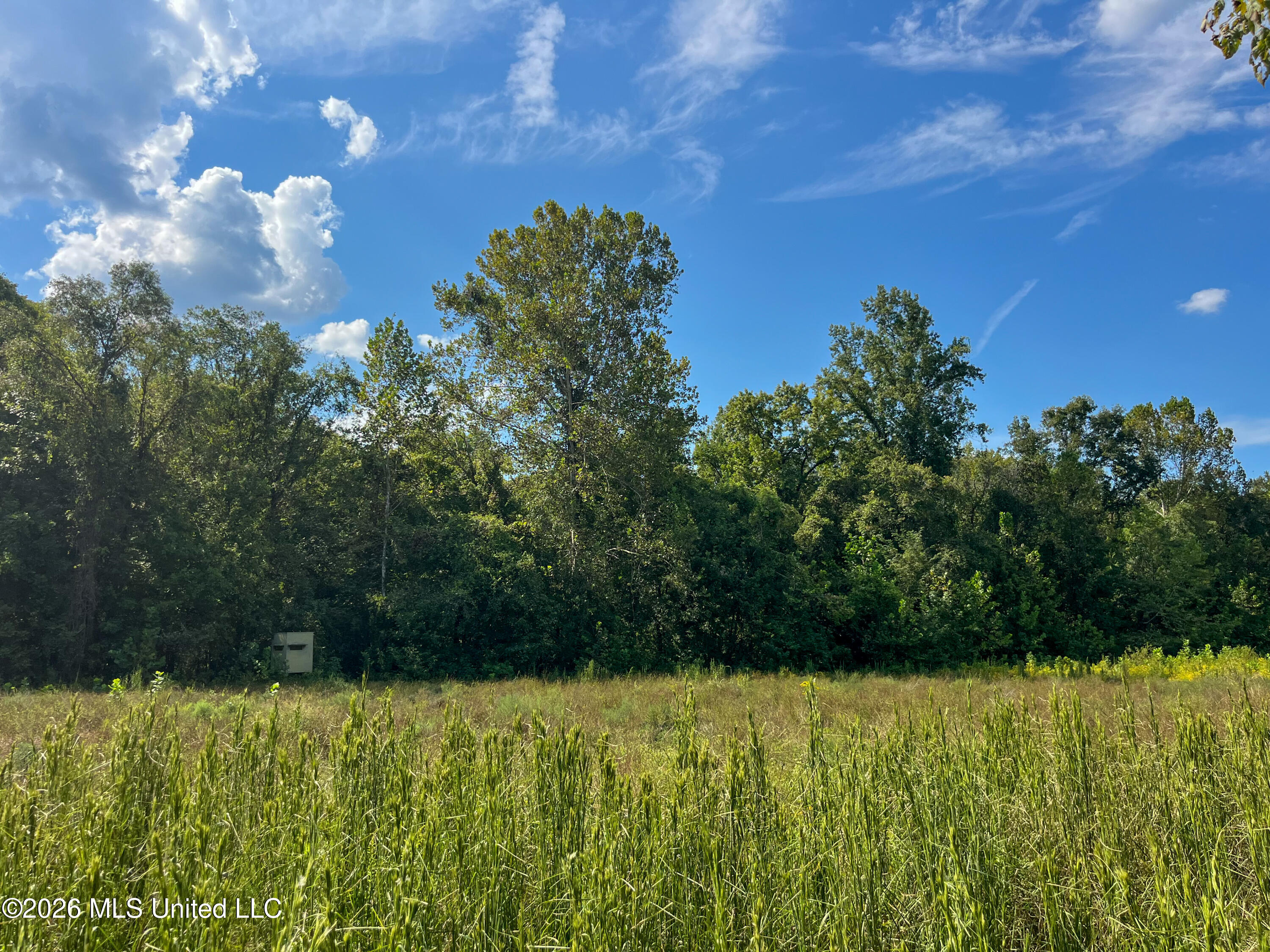 5163 Cox Ferry Road Property Photo 27