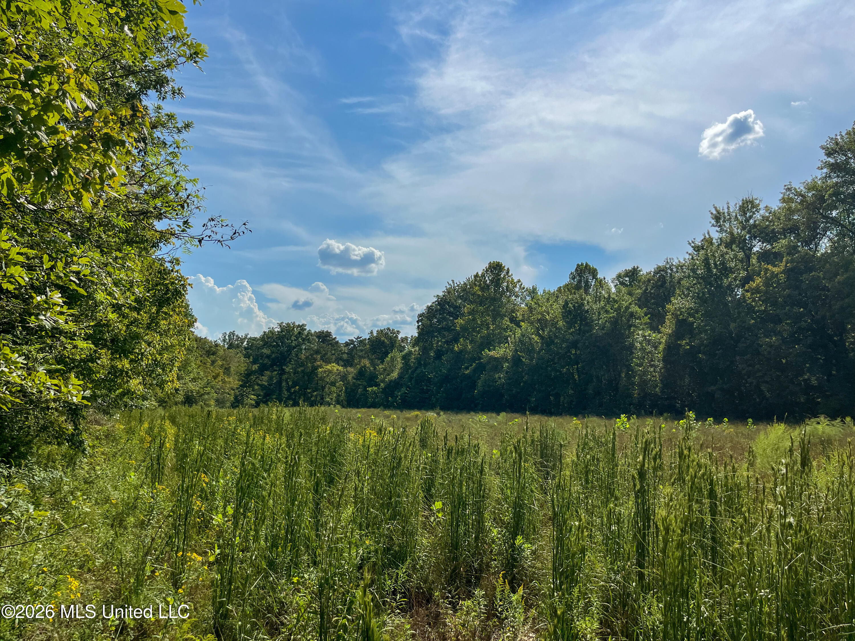 5163 Cox Ferry Road Property Photo 28