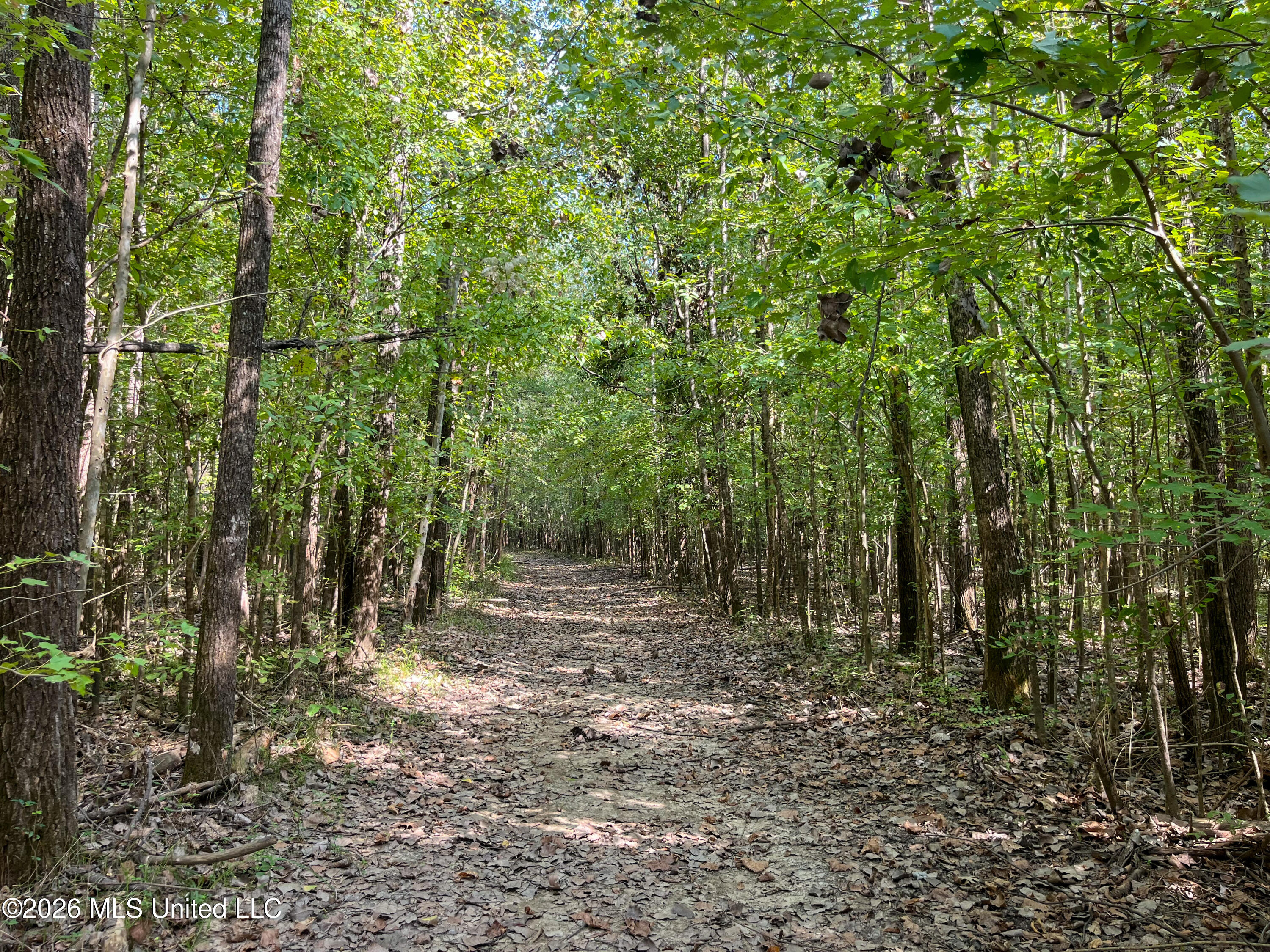 5163 Cox Ferry Road Property Photo 29