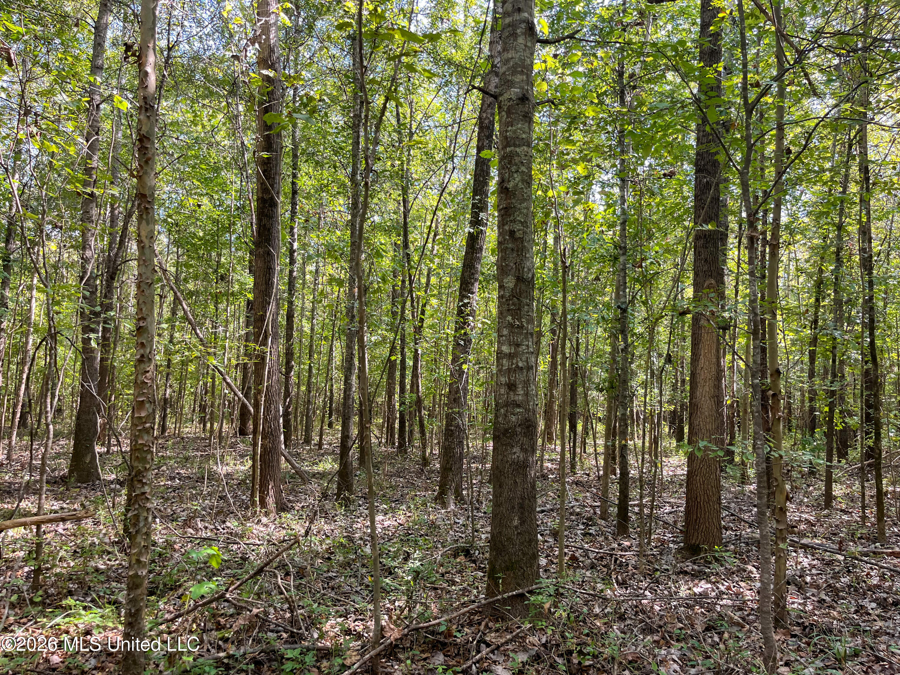 5163 Cox Ferry Road Property Photo 30