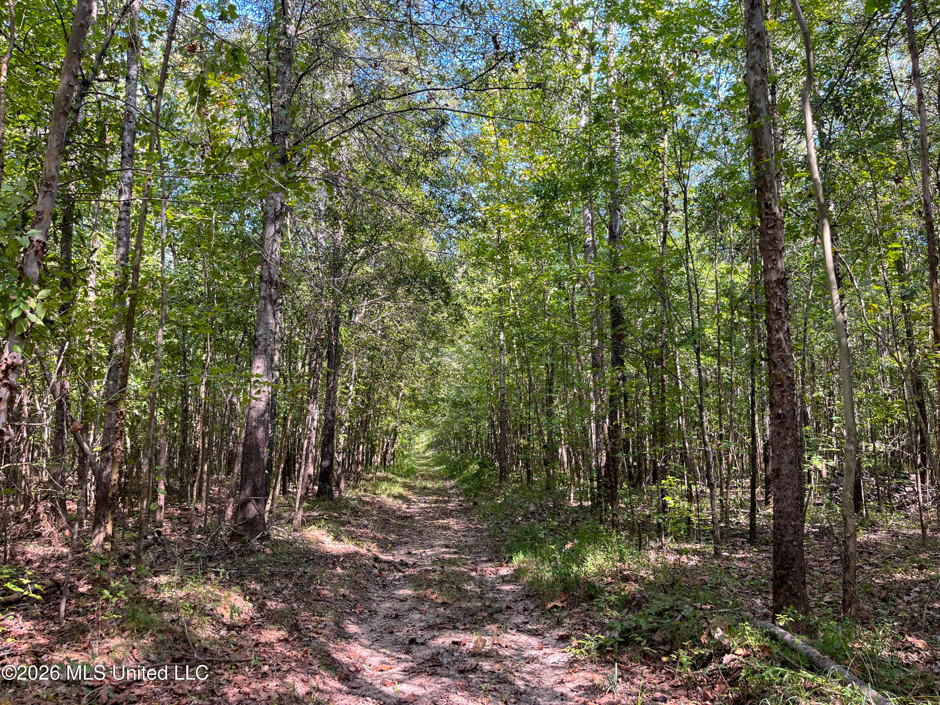 5163 Cox Ferry Road Property Photo 31