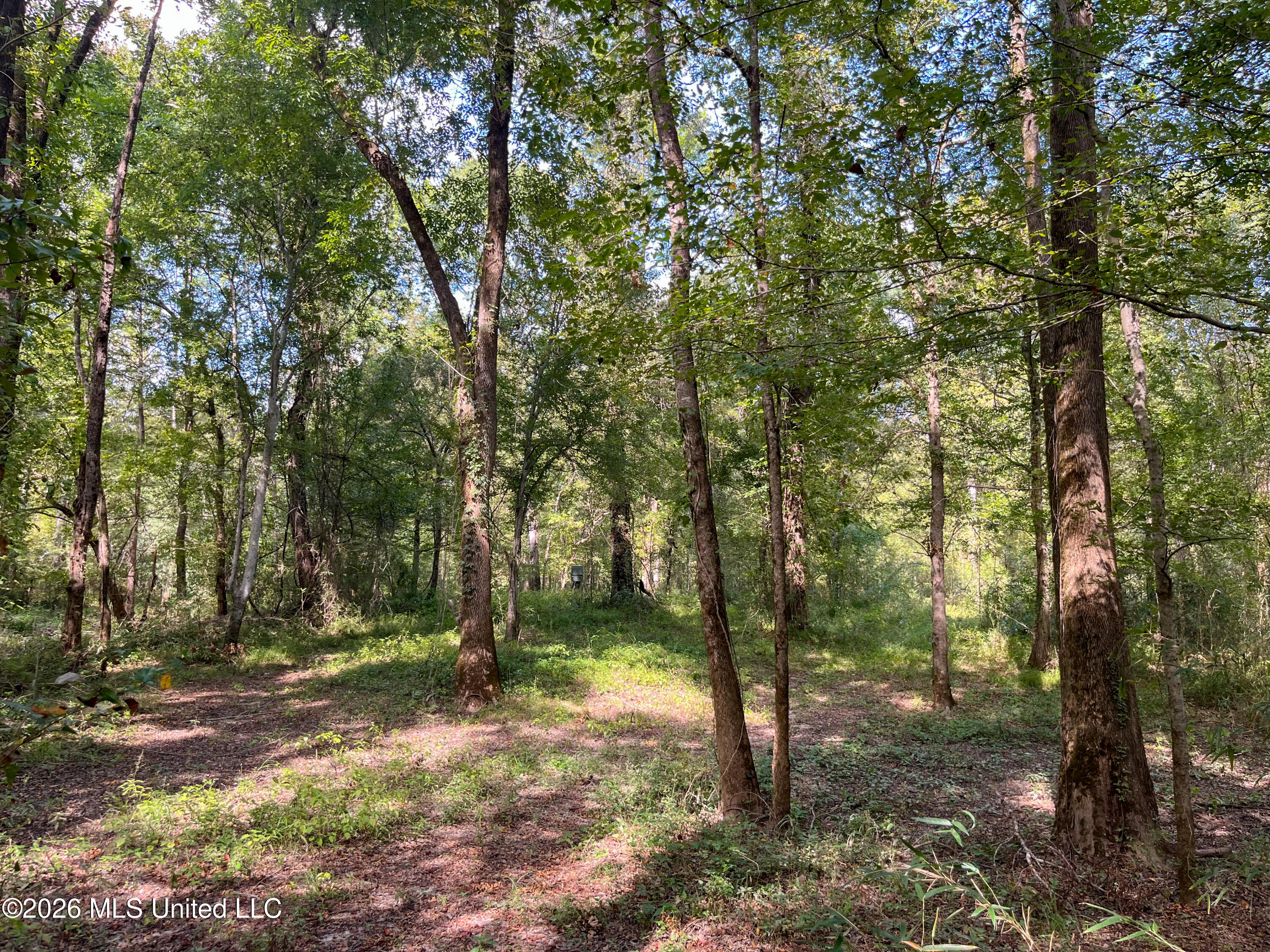 5163 Cox Ferry Road Property Photo 32