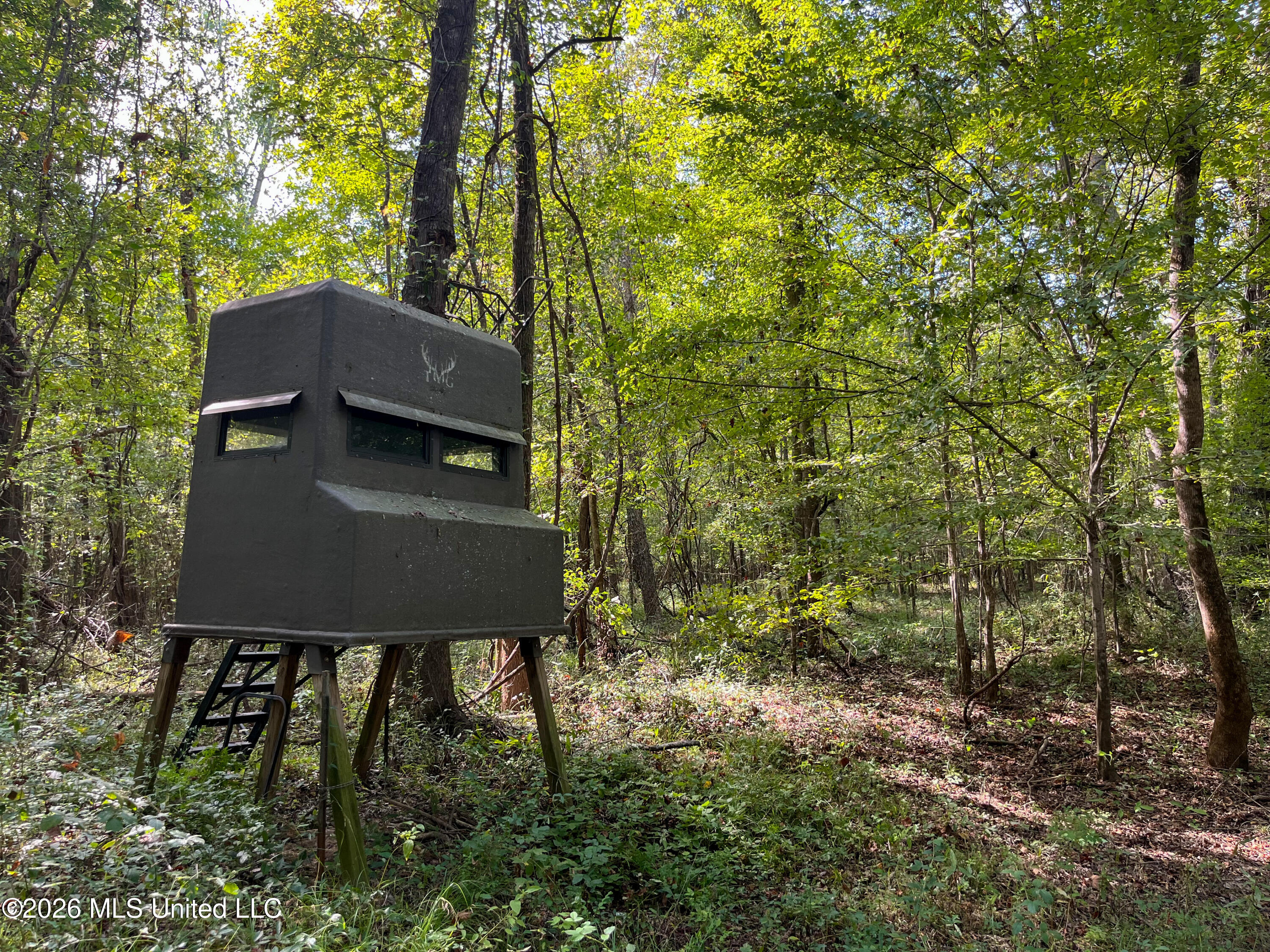 5163 Cox Ferry Road Property Photo 33