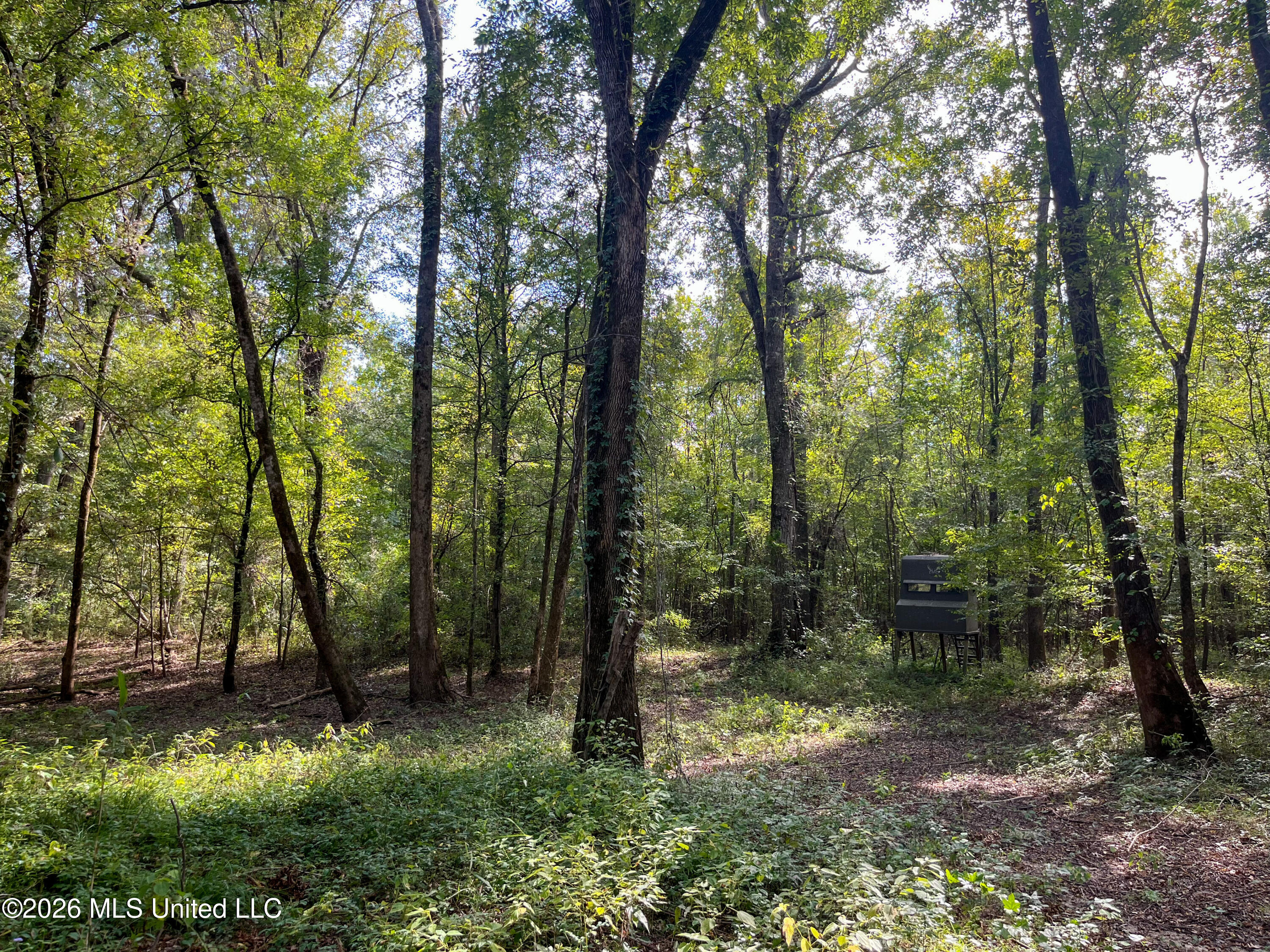 5163 Cox Ferry Road Property Photo 34