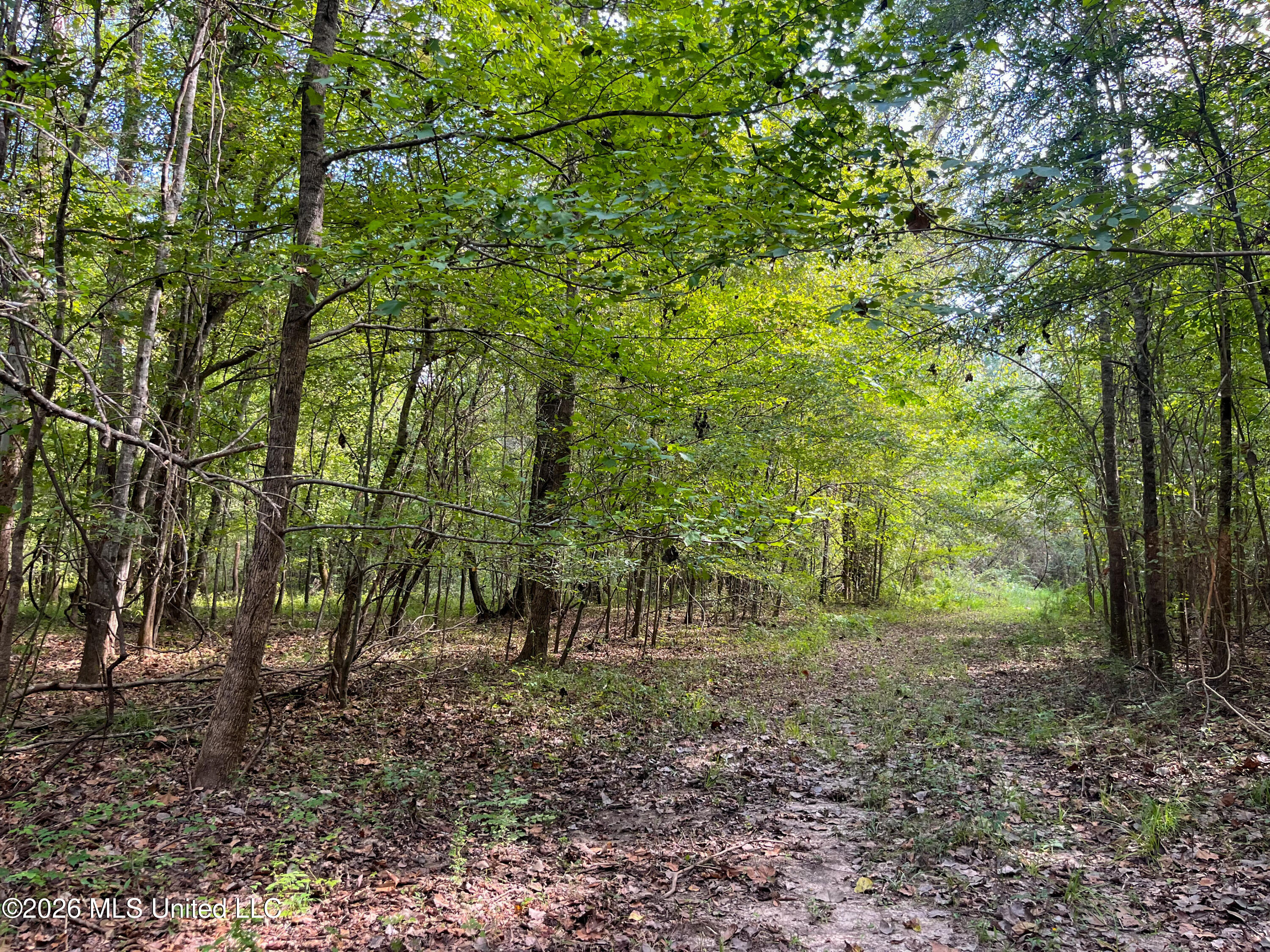 5163 Cox Ferry Road Property Photo 35