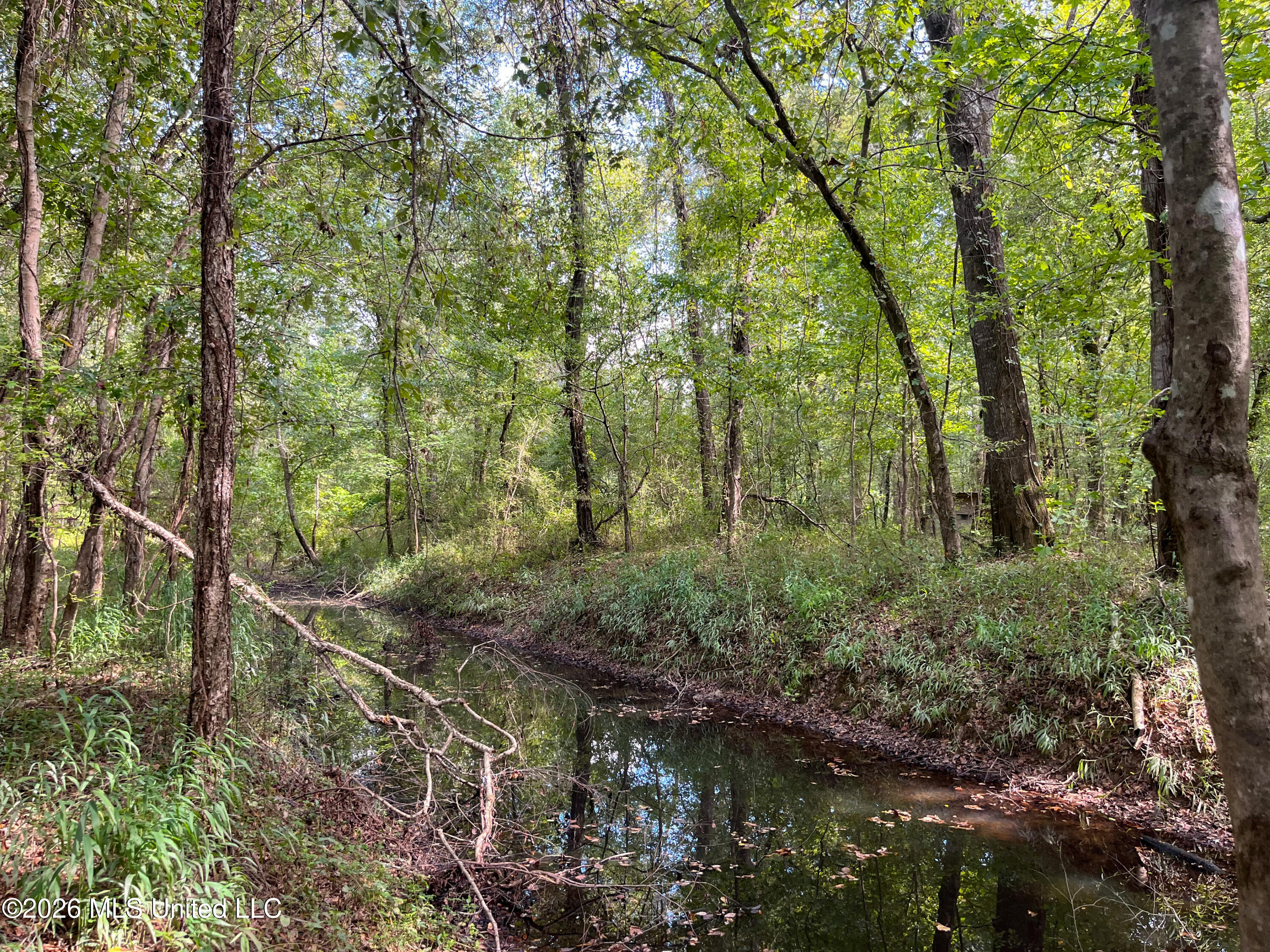 5163 Cox Ferry Road Property Photo 36