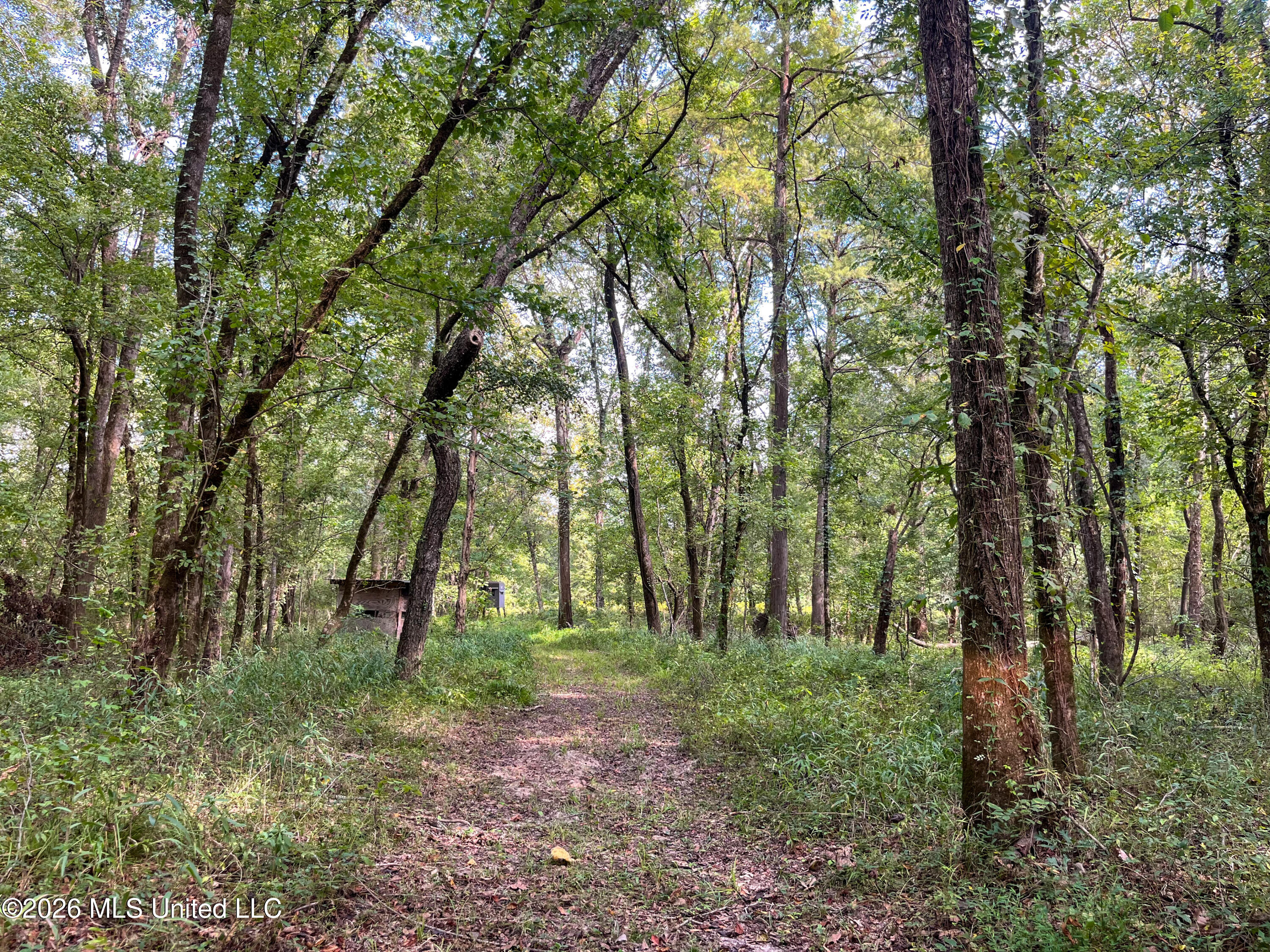 5163 Cox Ferry Road Property Photo 37