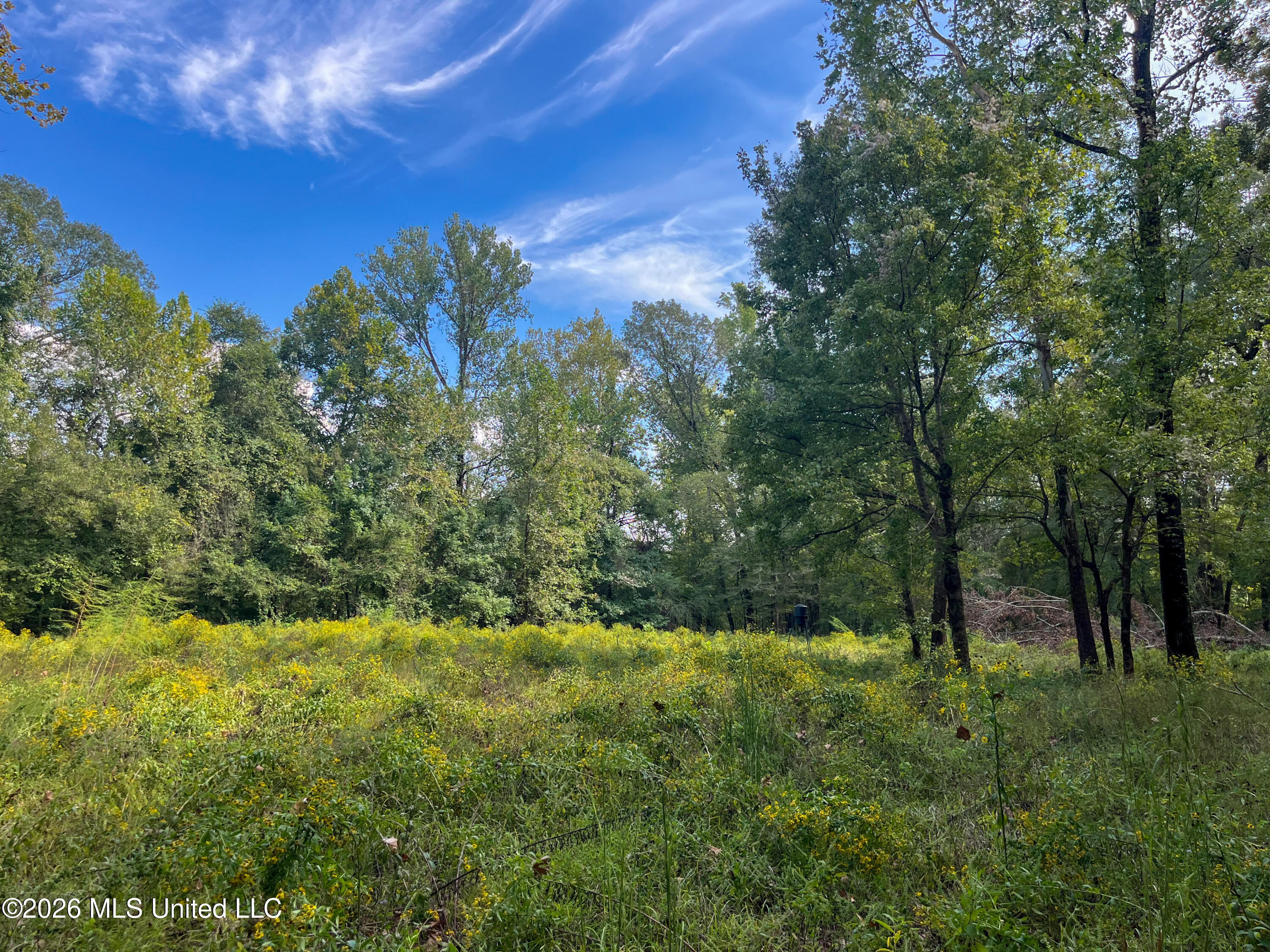 5163 Cox Ferry Road Property Photo 38