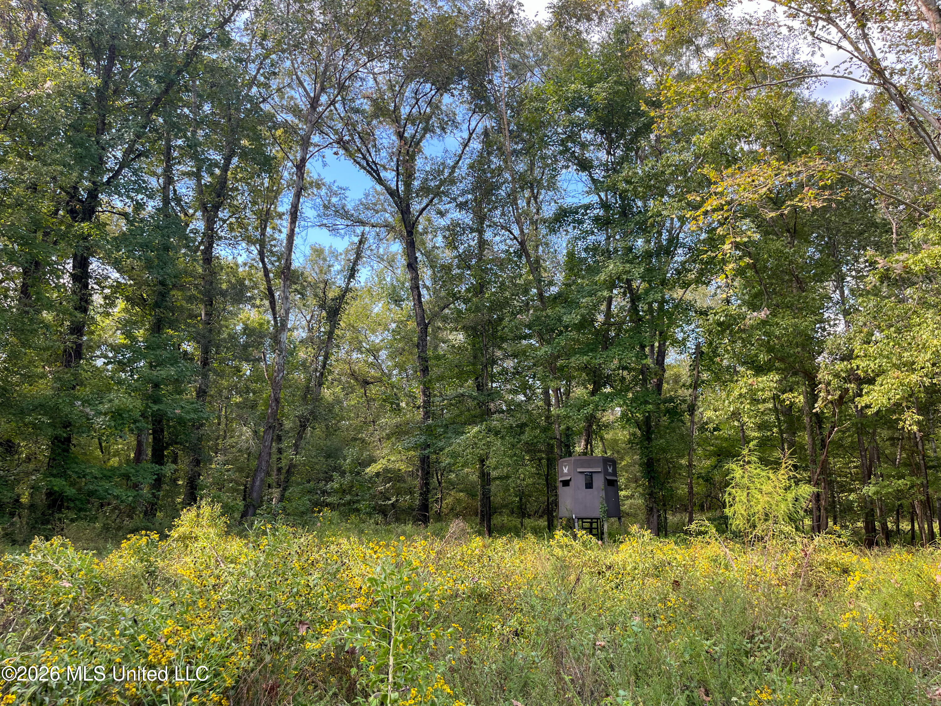 5163 Cox Ferry Road Property Photo 39
