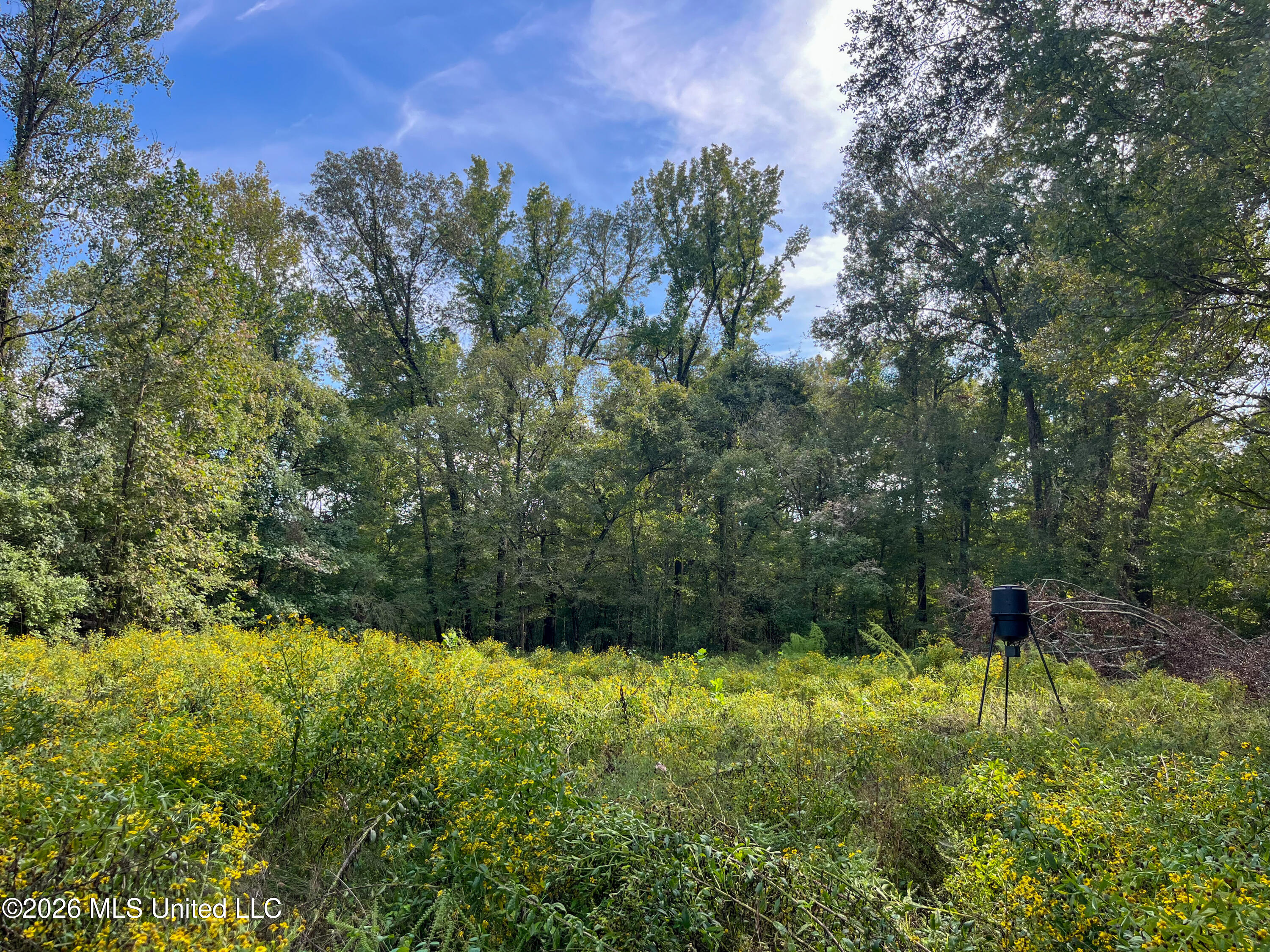 5163 Cox Ferry Road Property Photo 40
