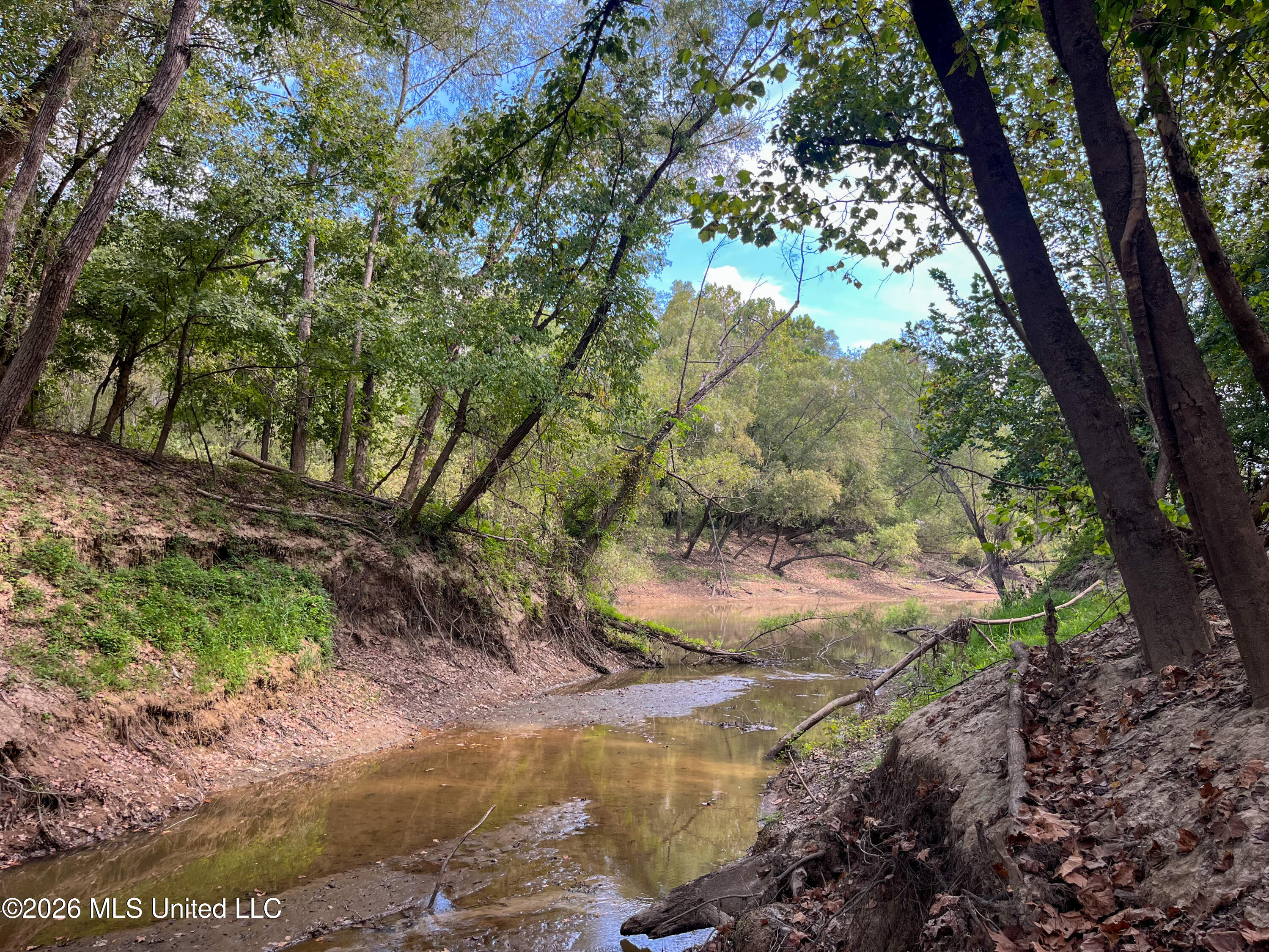 5163 Cox Ferry Road Property Photo 42
