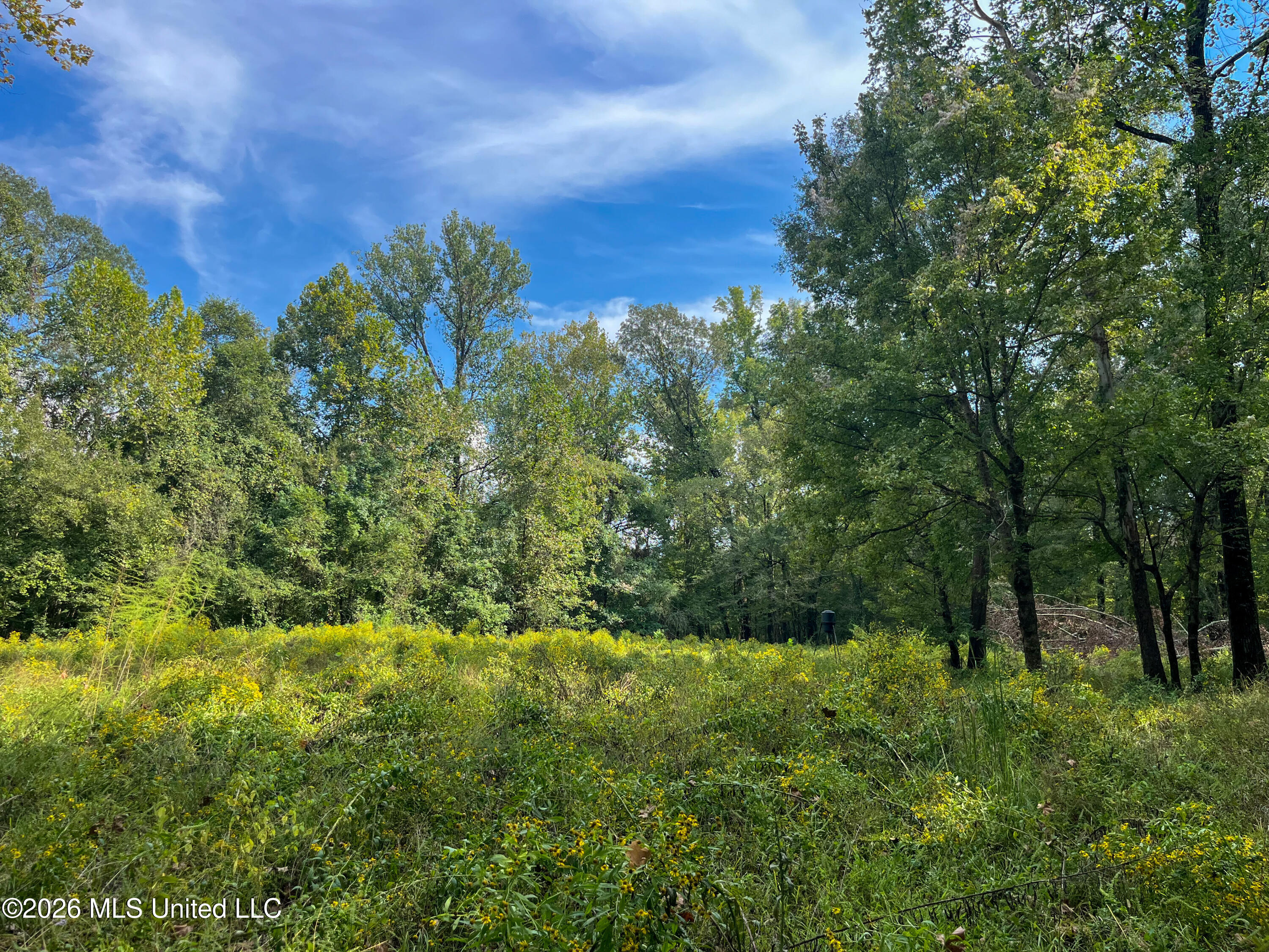 5163 Cox Ferry Road Property Photo 43
