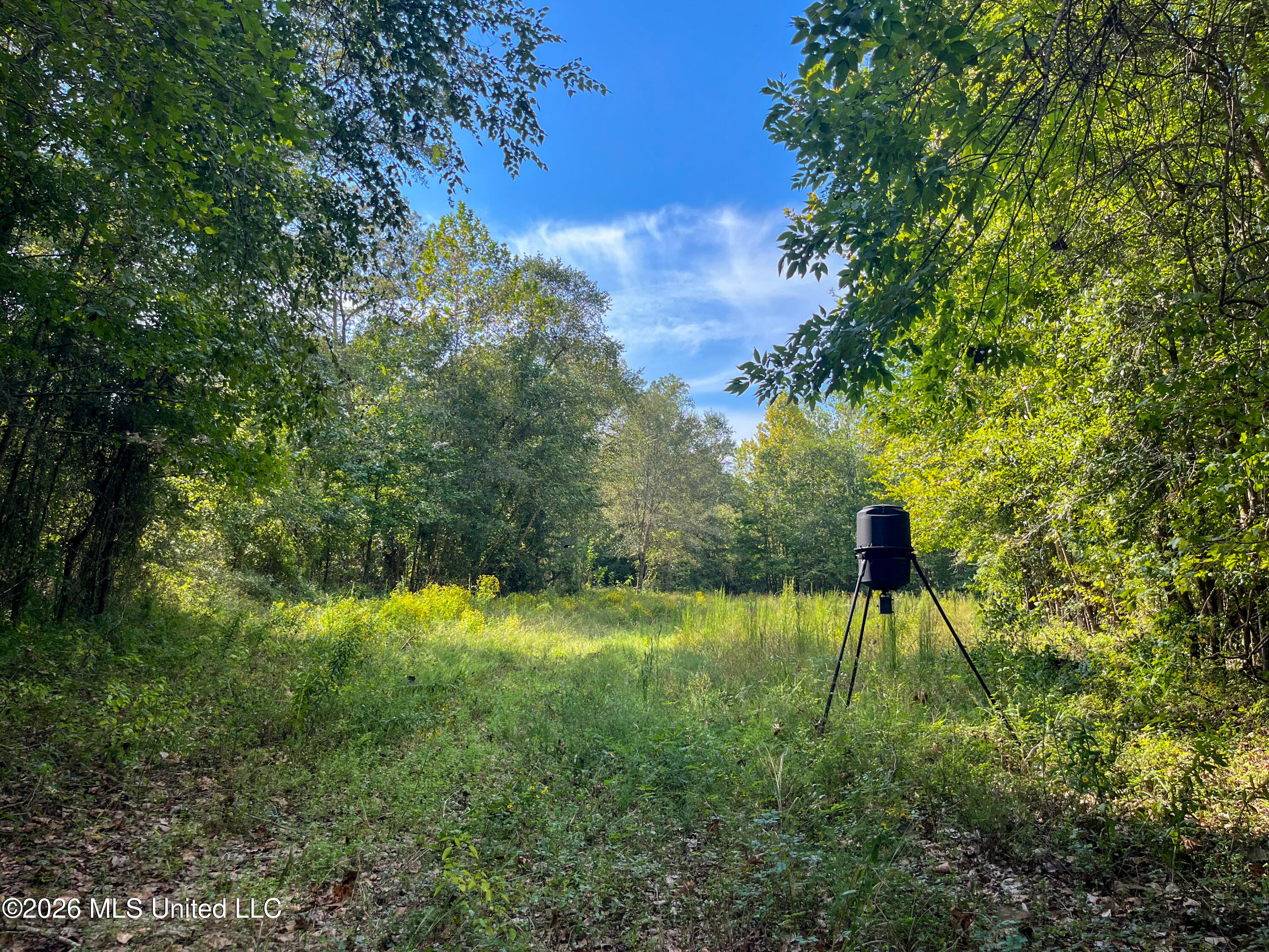 5163 Cox Ferry Road Property Photo 44