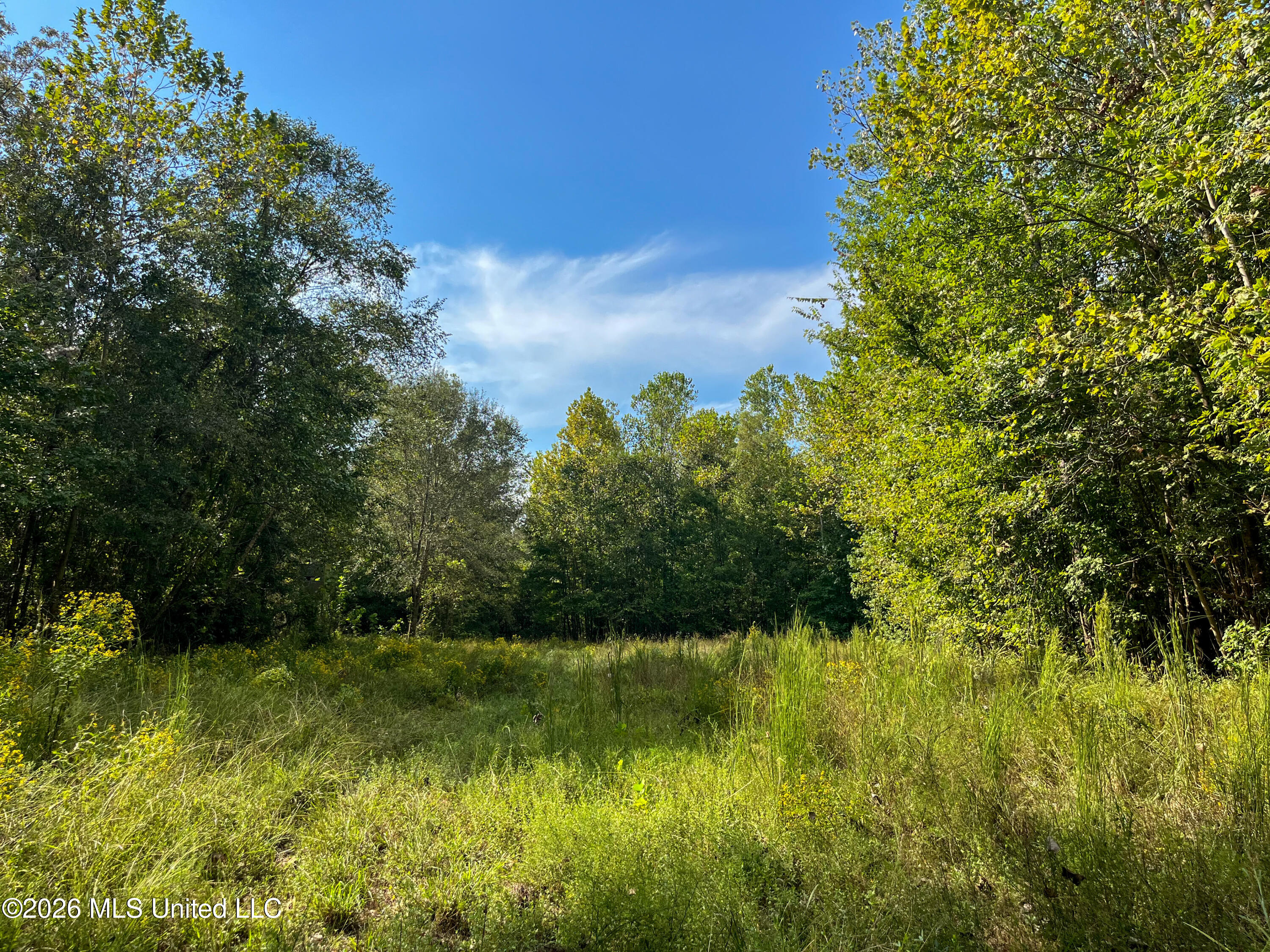 5163 Cox Ferry Road Property Photo 45