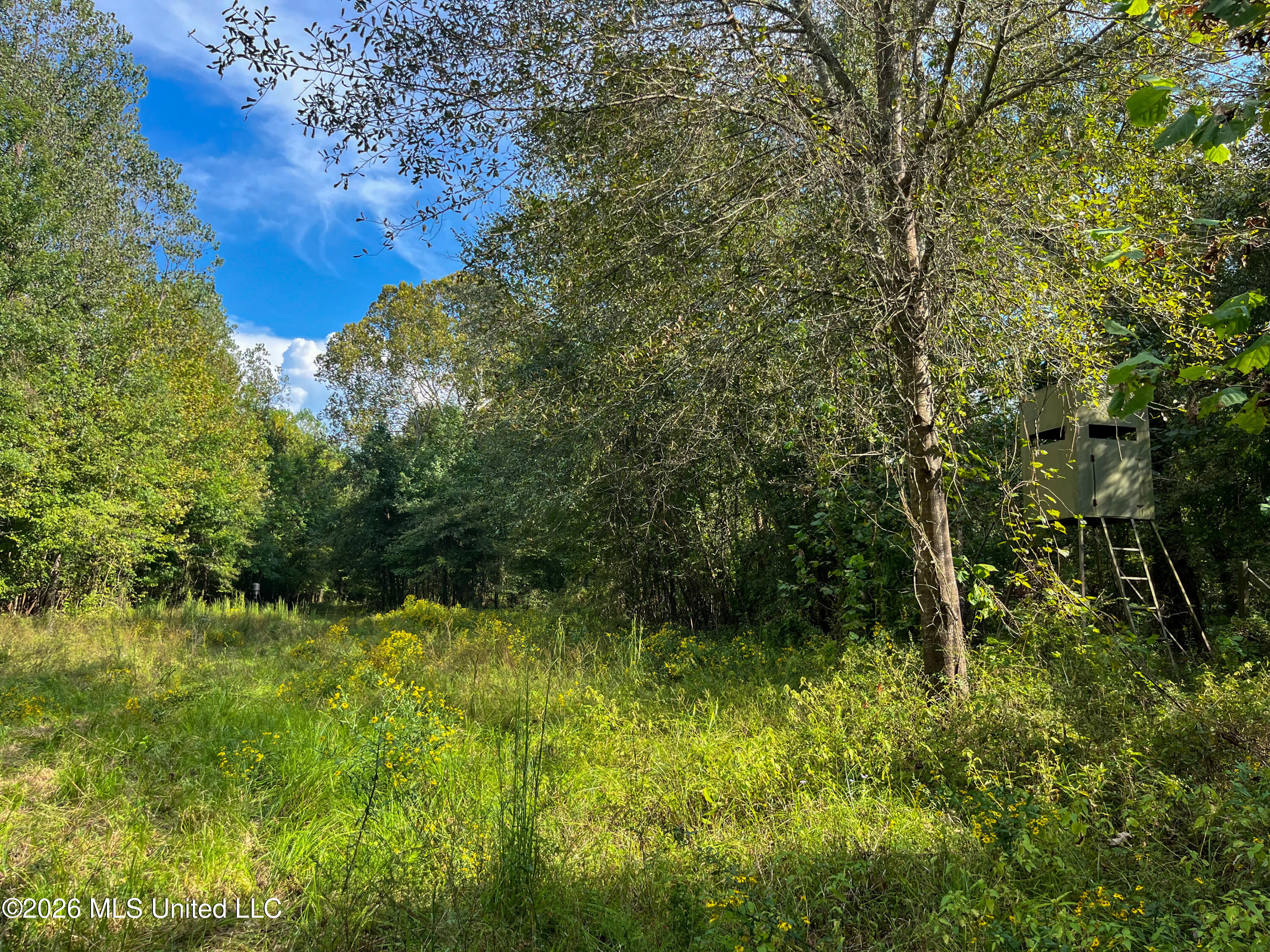 5163 Cox Ferry Road Property Photo 46