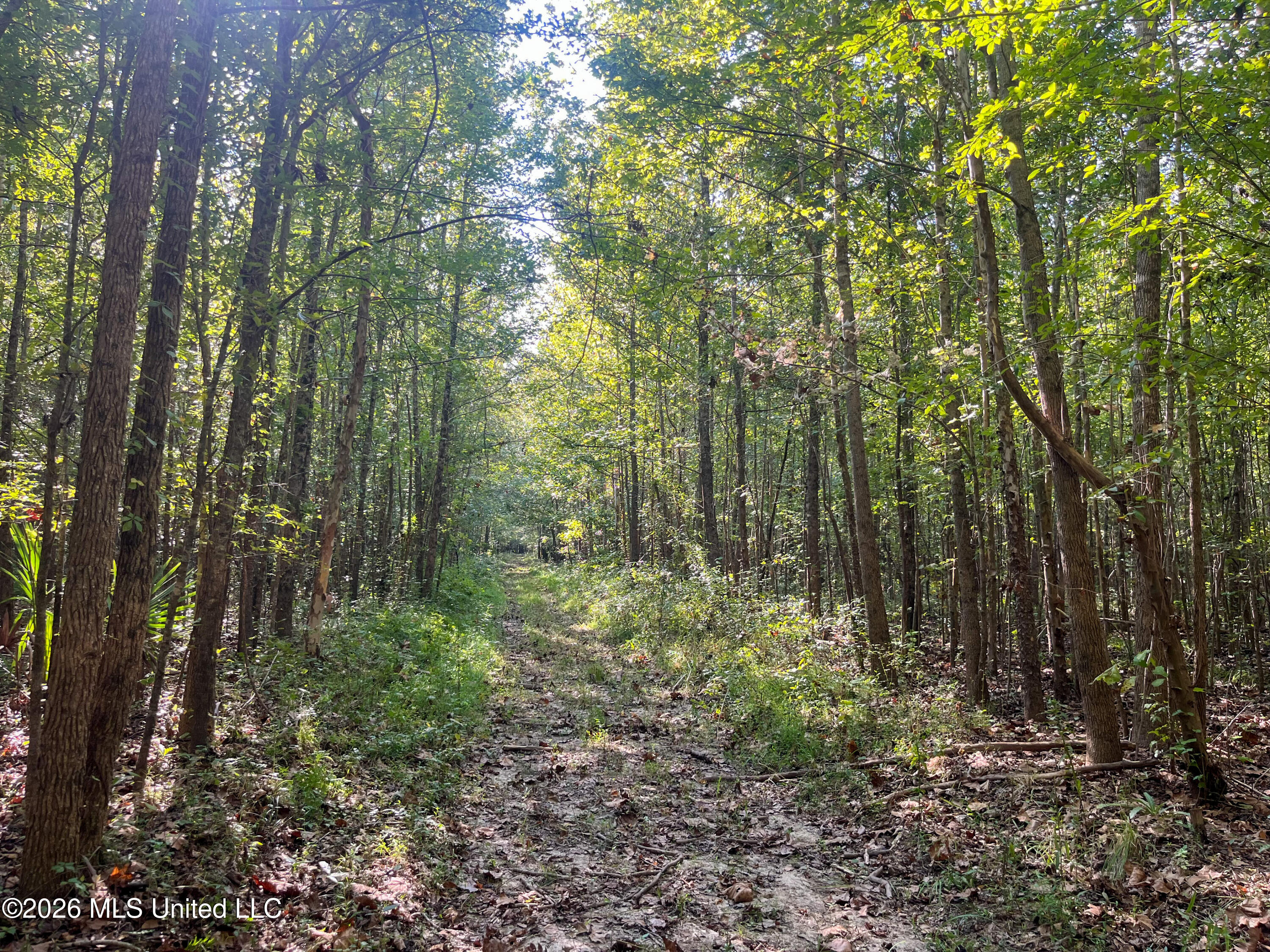 5163 Cox Ferry Road Property Photo 47