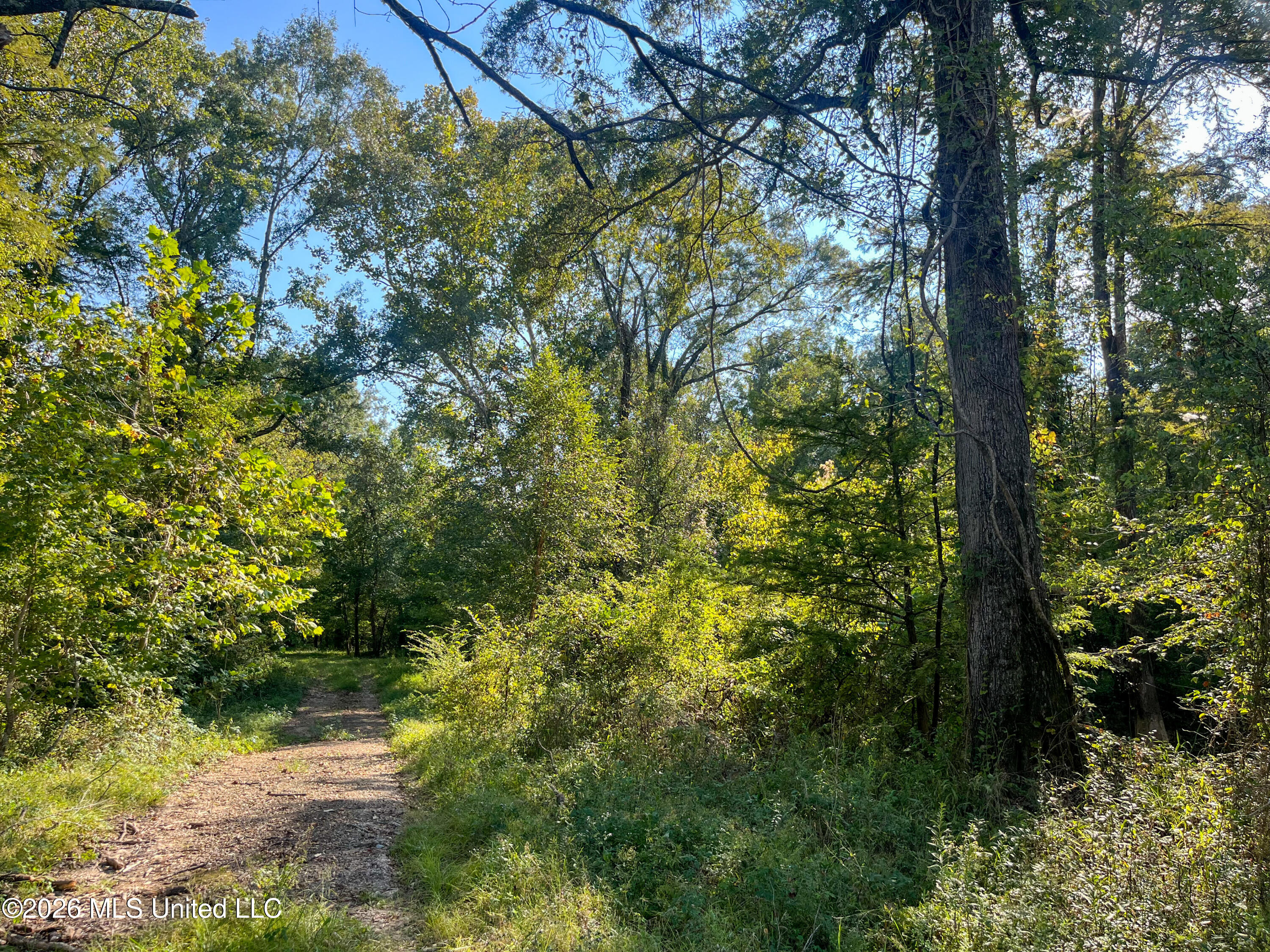 5163 Cox Ferry Road Property Photo 48