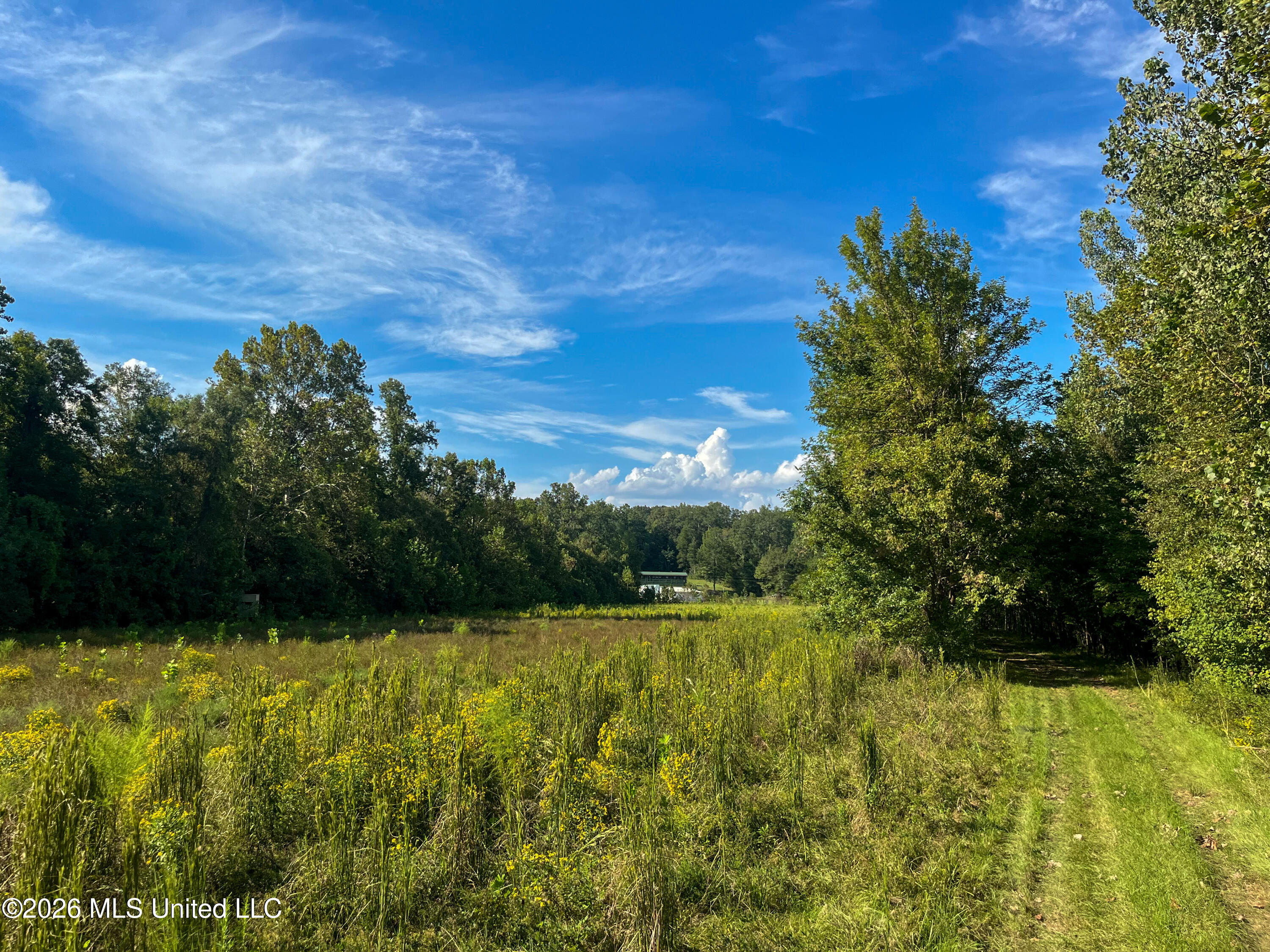 5163 Cox Ferry Road Property Photo 49