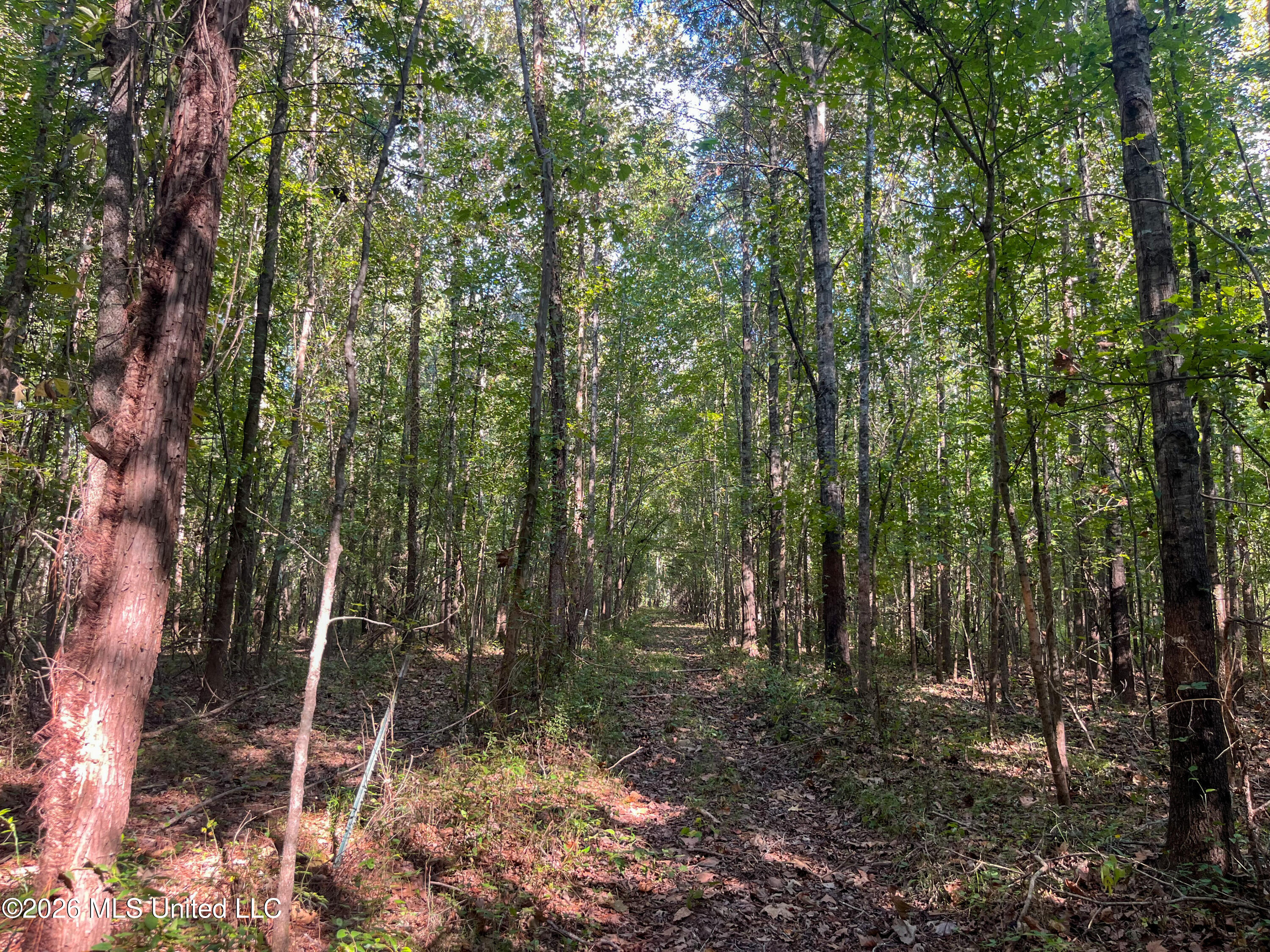 5163 Cox Ferry Road Property Photo 50