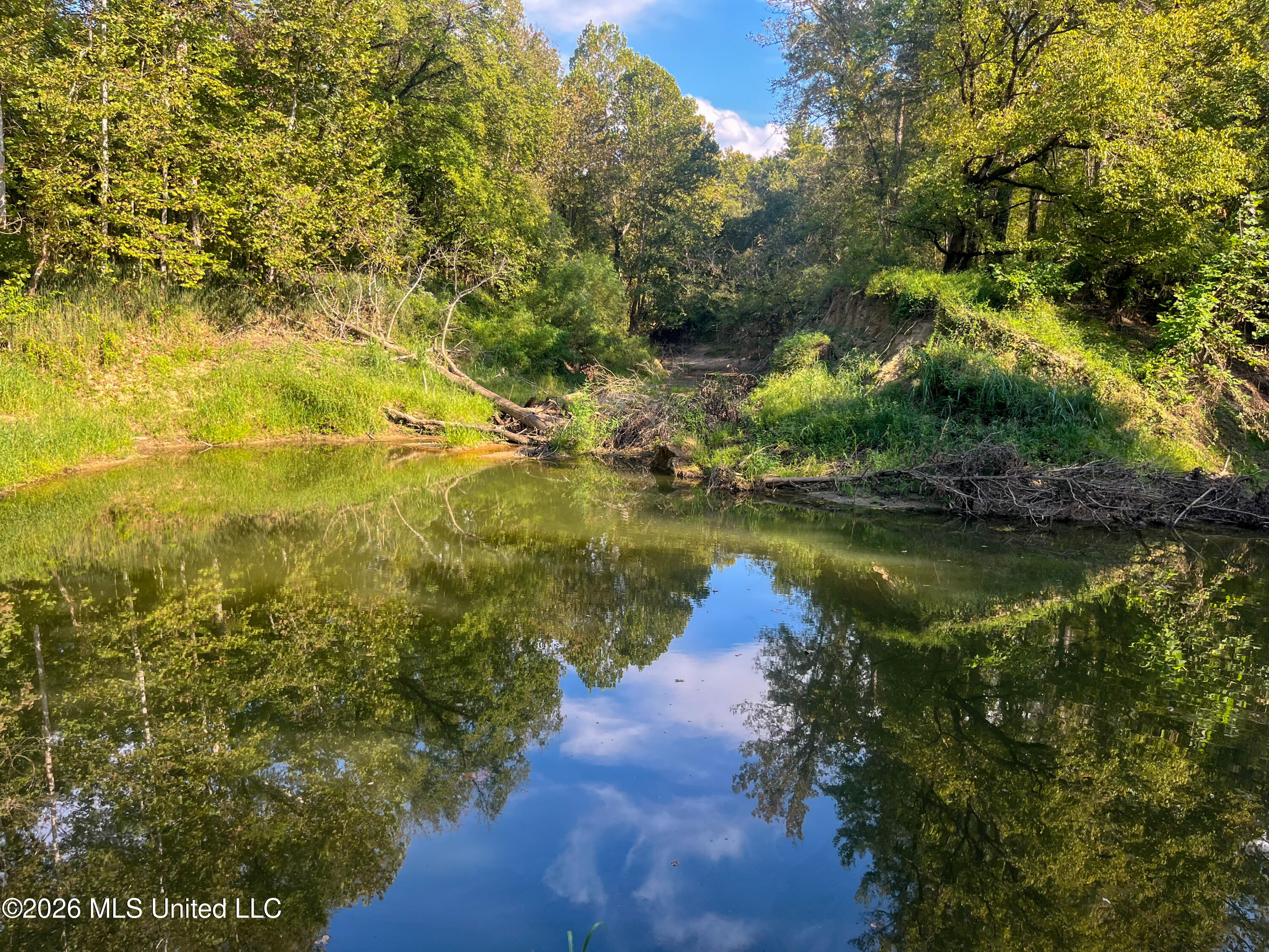 5163 Cox Ferry Road Property Photo 51