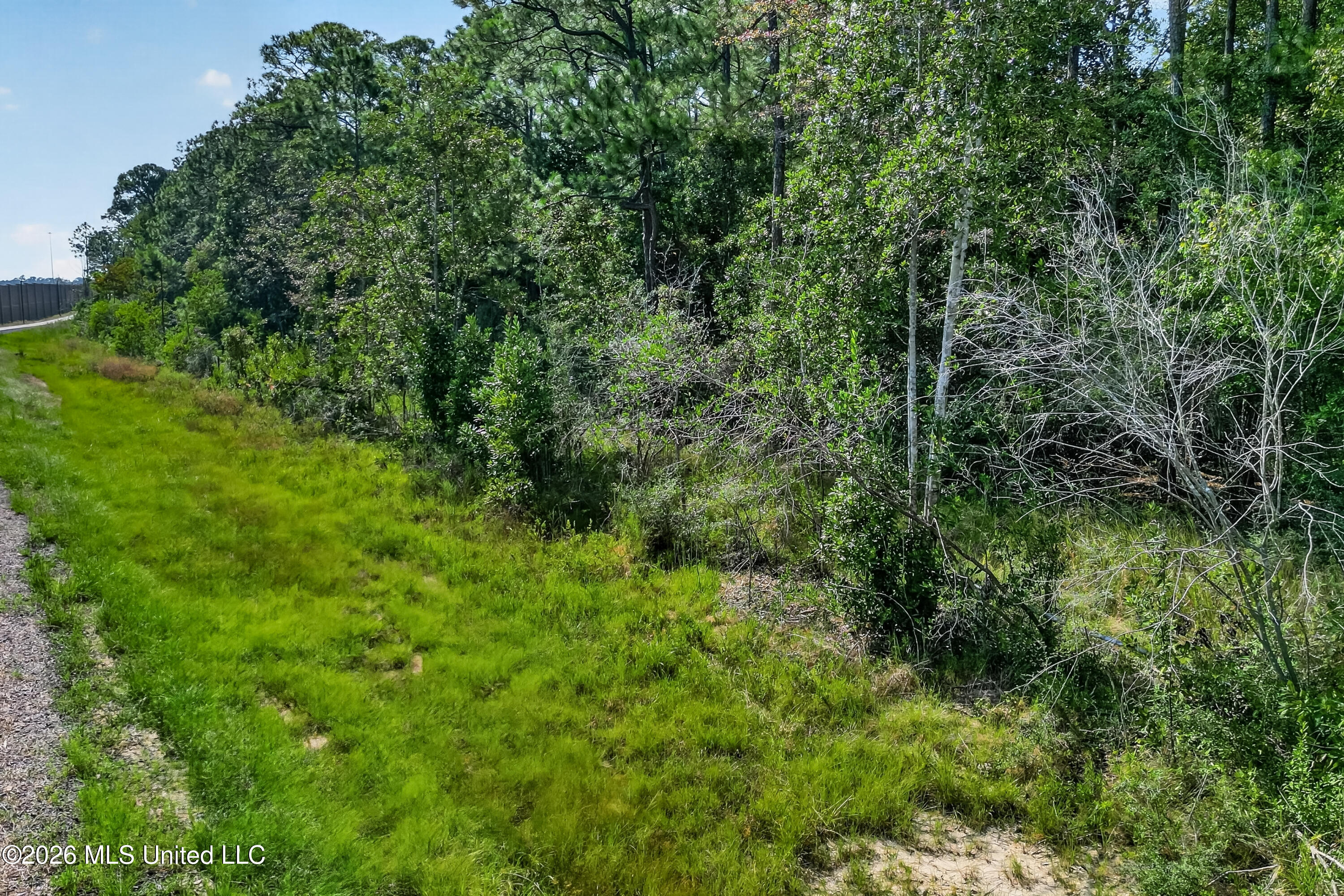 Aila Street Property Photo 3
