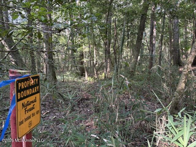 Smith County Road 581 Property Photo 1