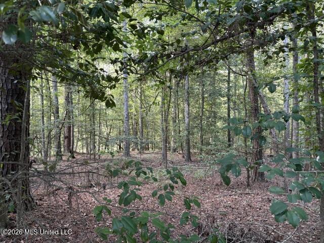 Smith County Road 581 Property Photo 2