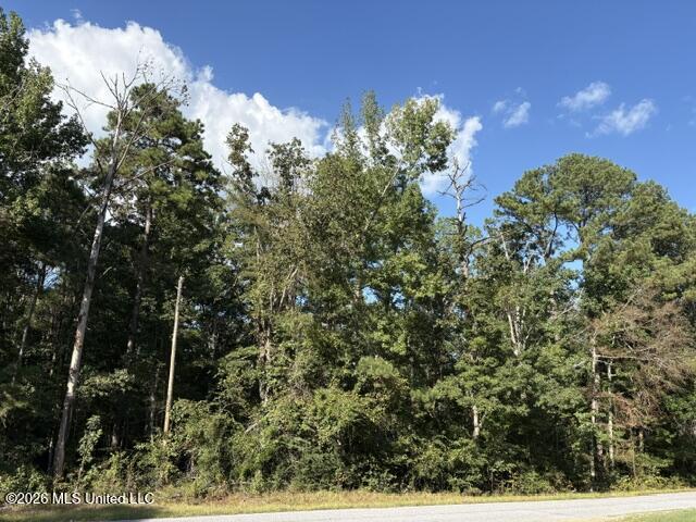 Smith County Road 581 Property Photo 3