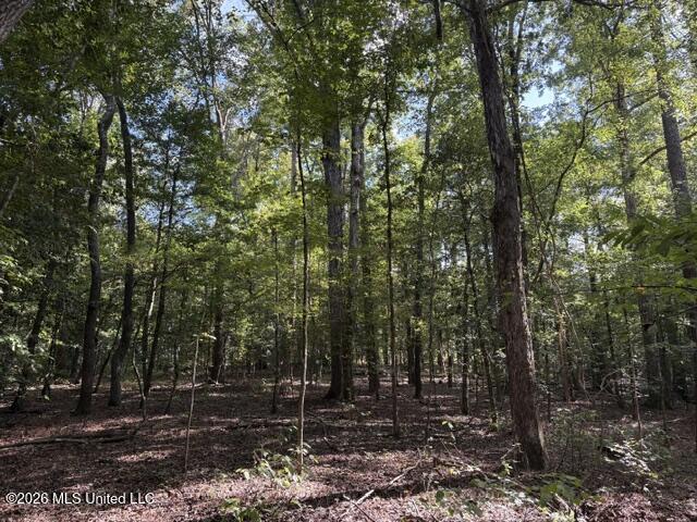 Smith County Road 581 Property Photo 5